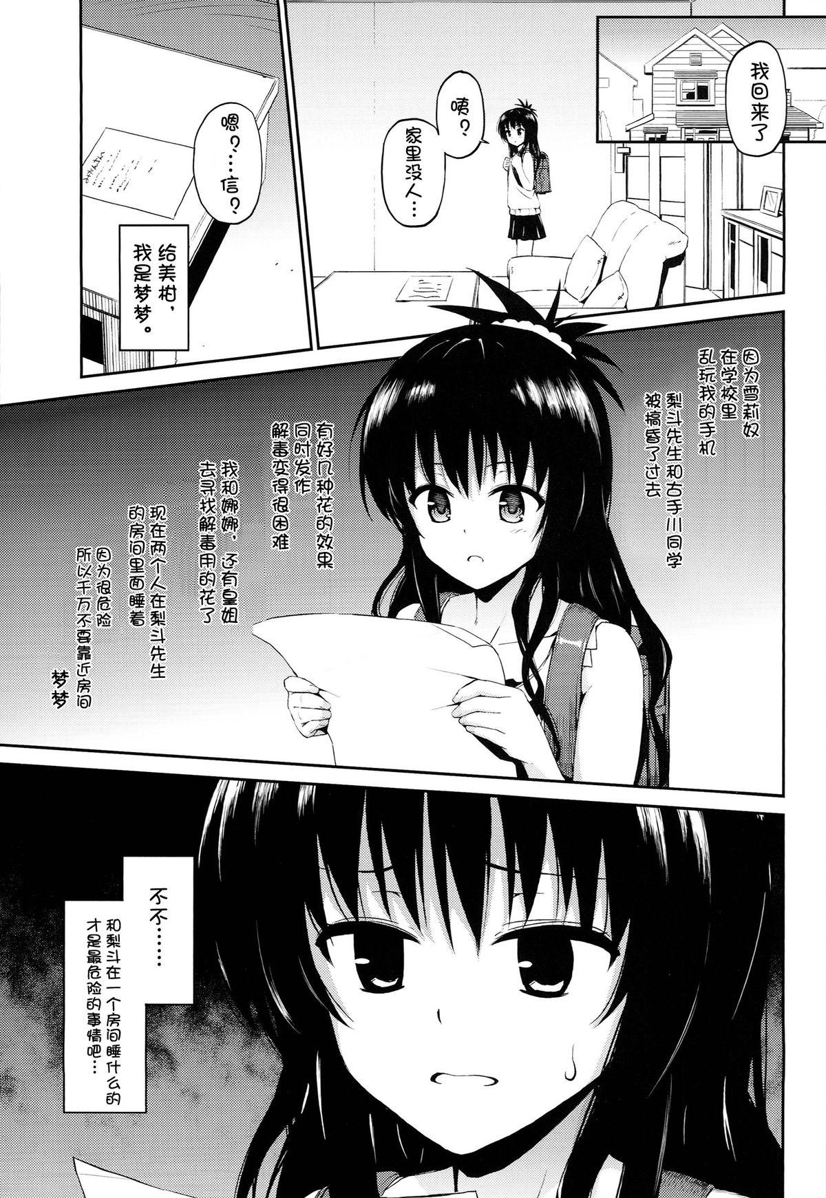 はなのとりこ(C86) [森宮缶 (森宮正幸)]  (ToLOVEる-とらぶる-) [中国翻訳](33页)