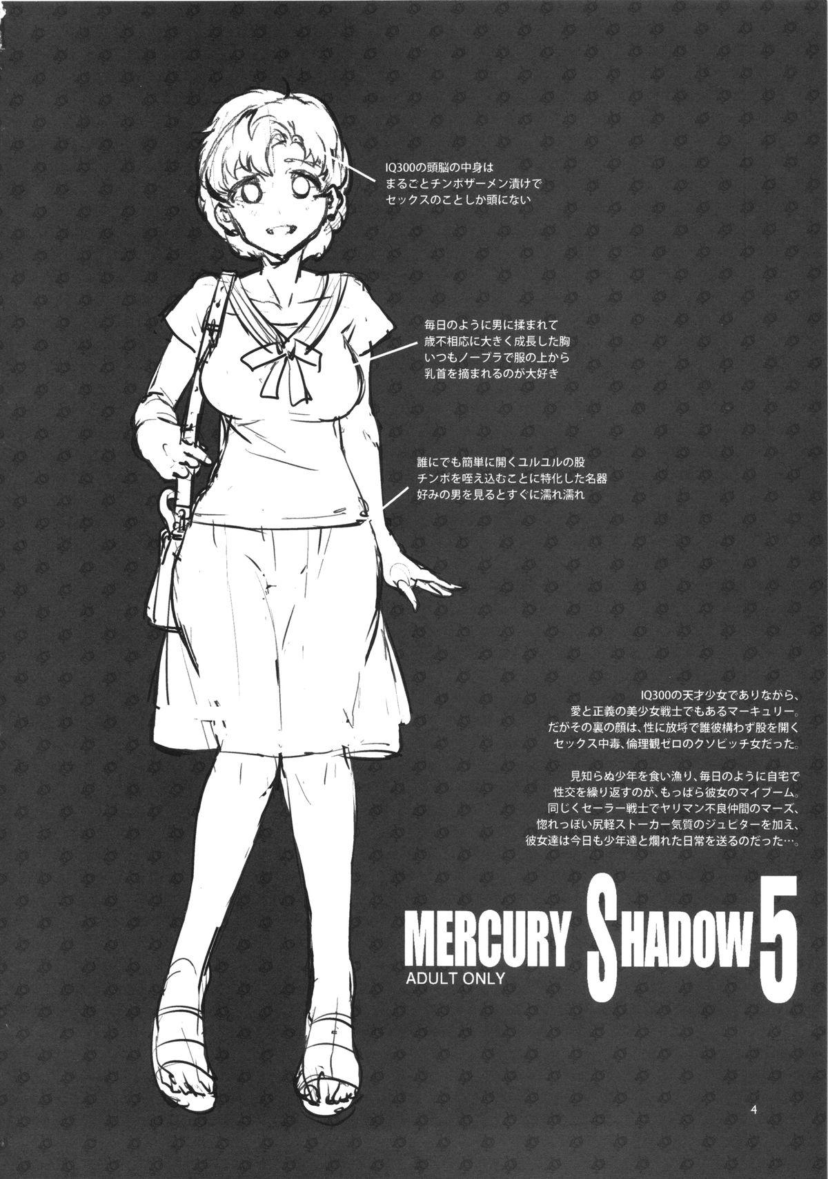 MERCURY SHADOW5(C86) [ありすの宝箱 (水龍敬)]  (美少女戦士セーラームーン) [中国翻訳](31页)