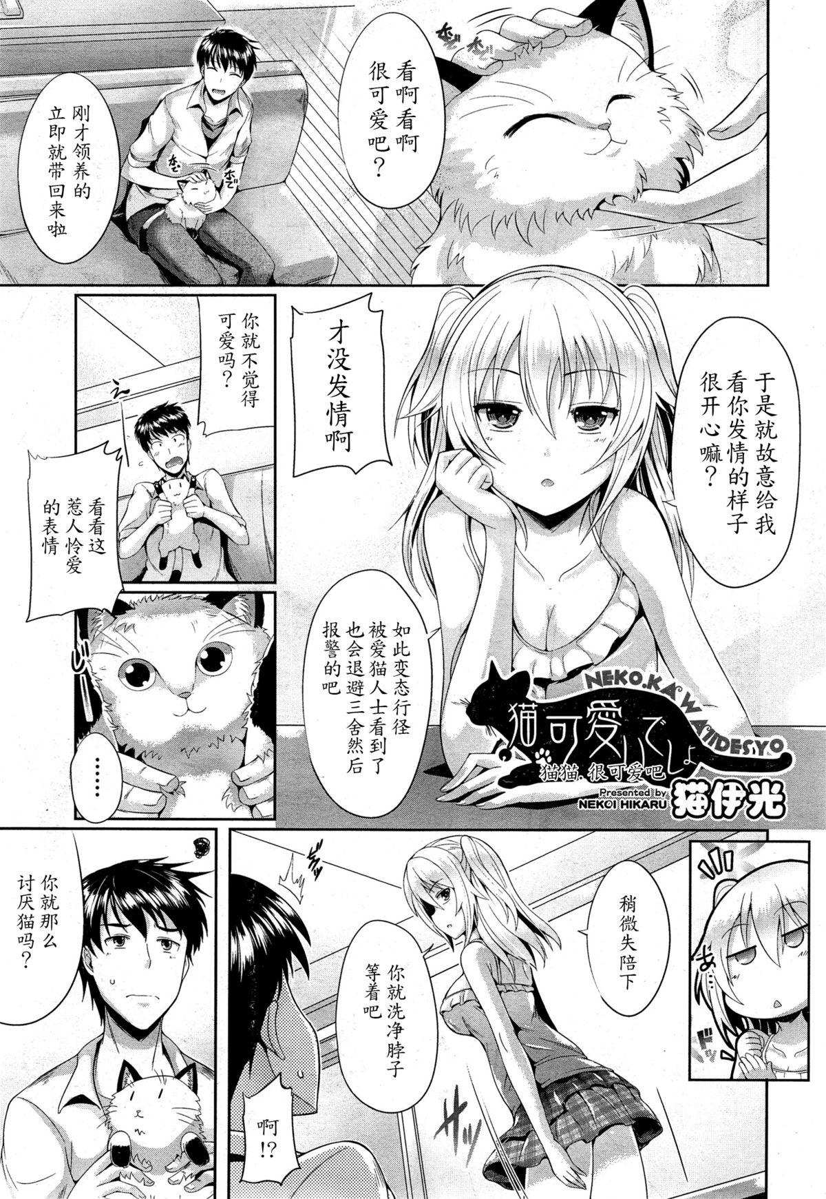 猫.可愛いでしょ[猫伊光]  (COMIC 阿吽 2014年12月号) [中国翻訳](23页)