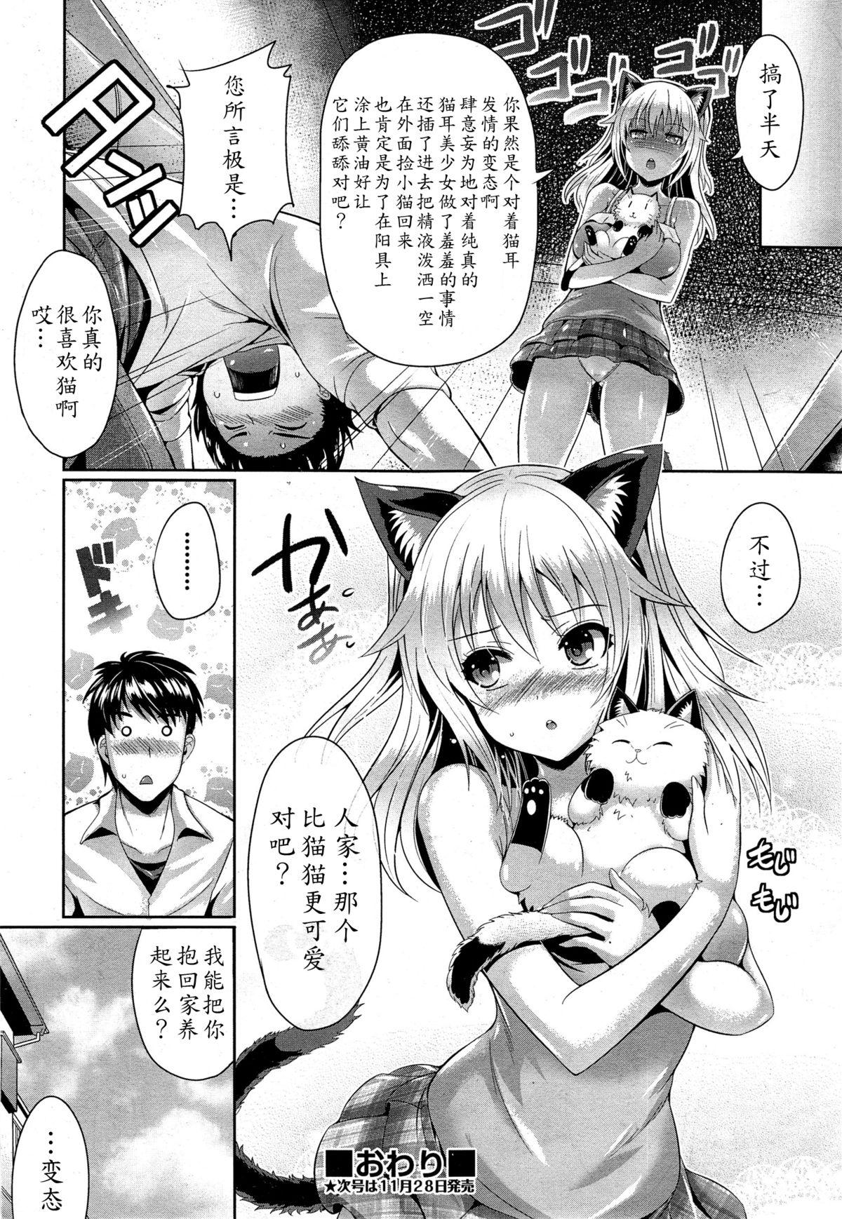 猫.可愛いでしょ[猫伊光]  (COMIC 阿吽 2014年12月号) [中国翻訳](23页)