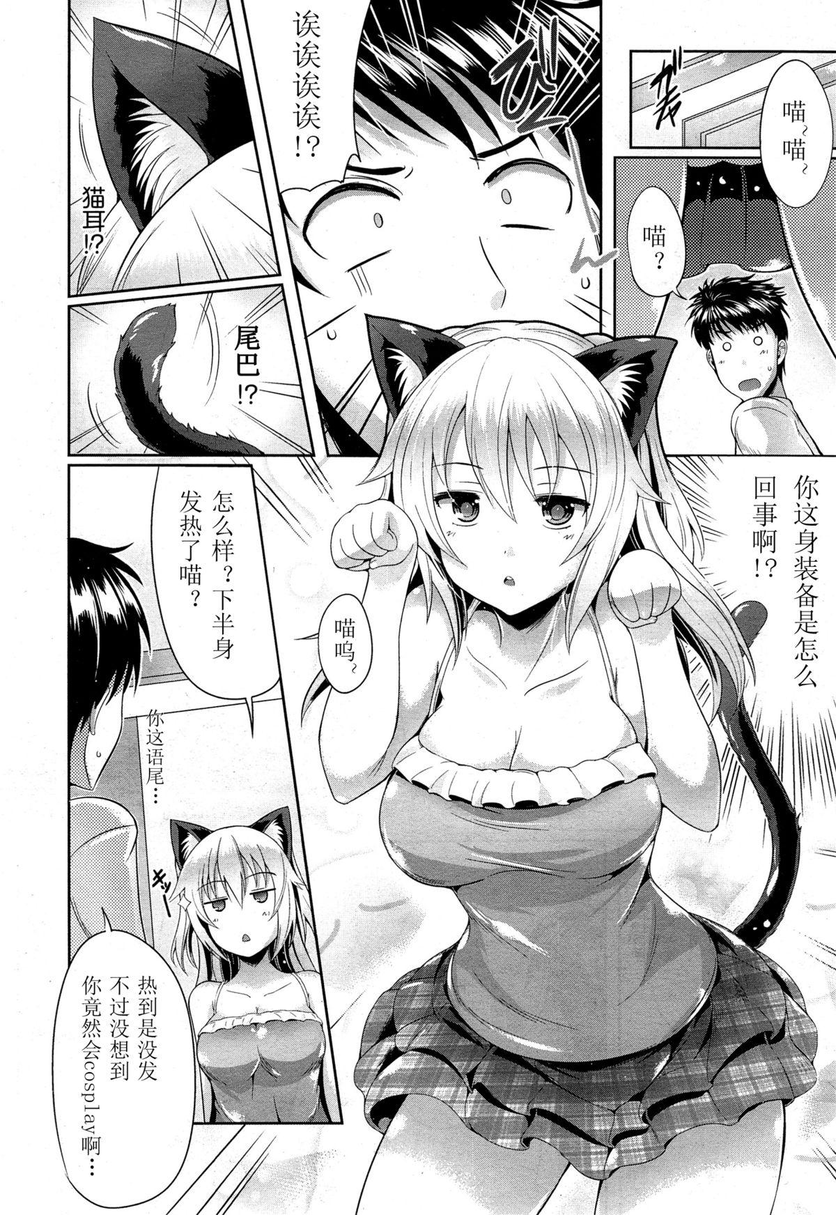 猫.可愛いでしょ[猫伊光]  (COMIC 阿吽 2014年12月号) [中国翻訳](23页)