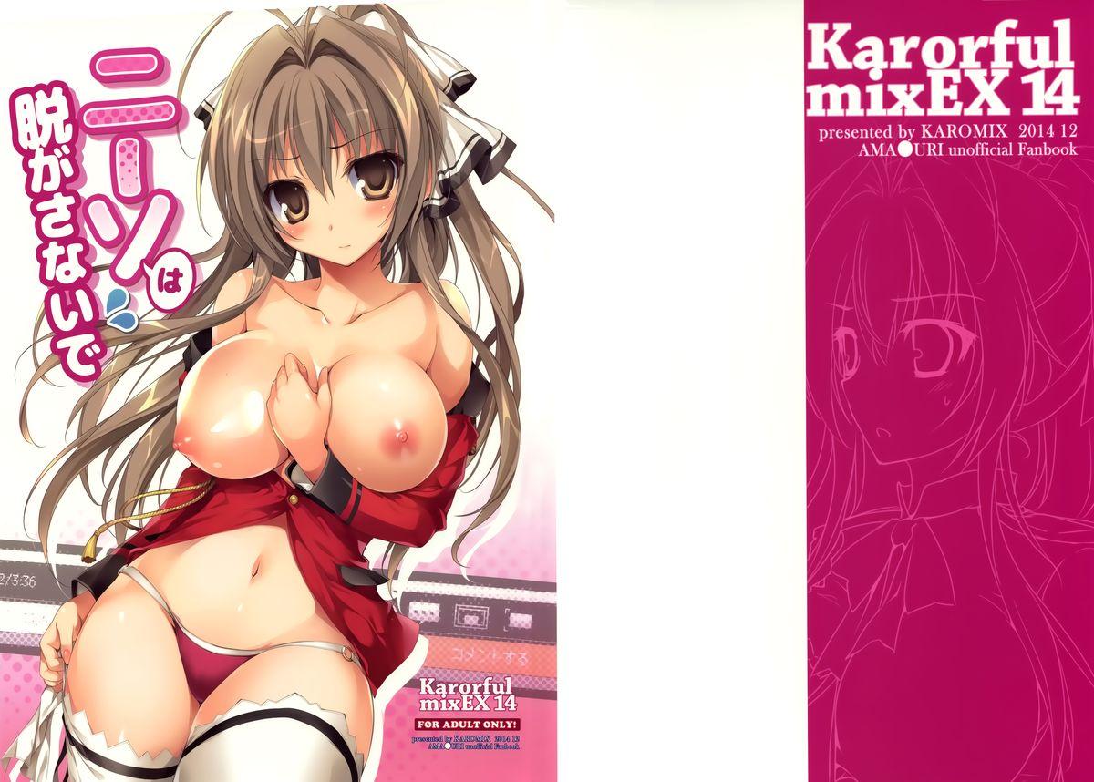 Karorful mix EX 14 ニーソはぬがさないで(C87) [KAROMIX (karory)]  (甘城ブリリアントパーク) [中国翻訳](22页)