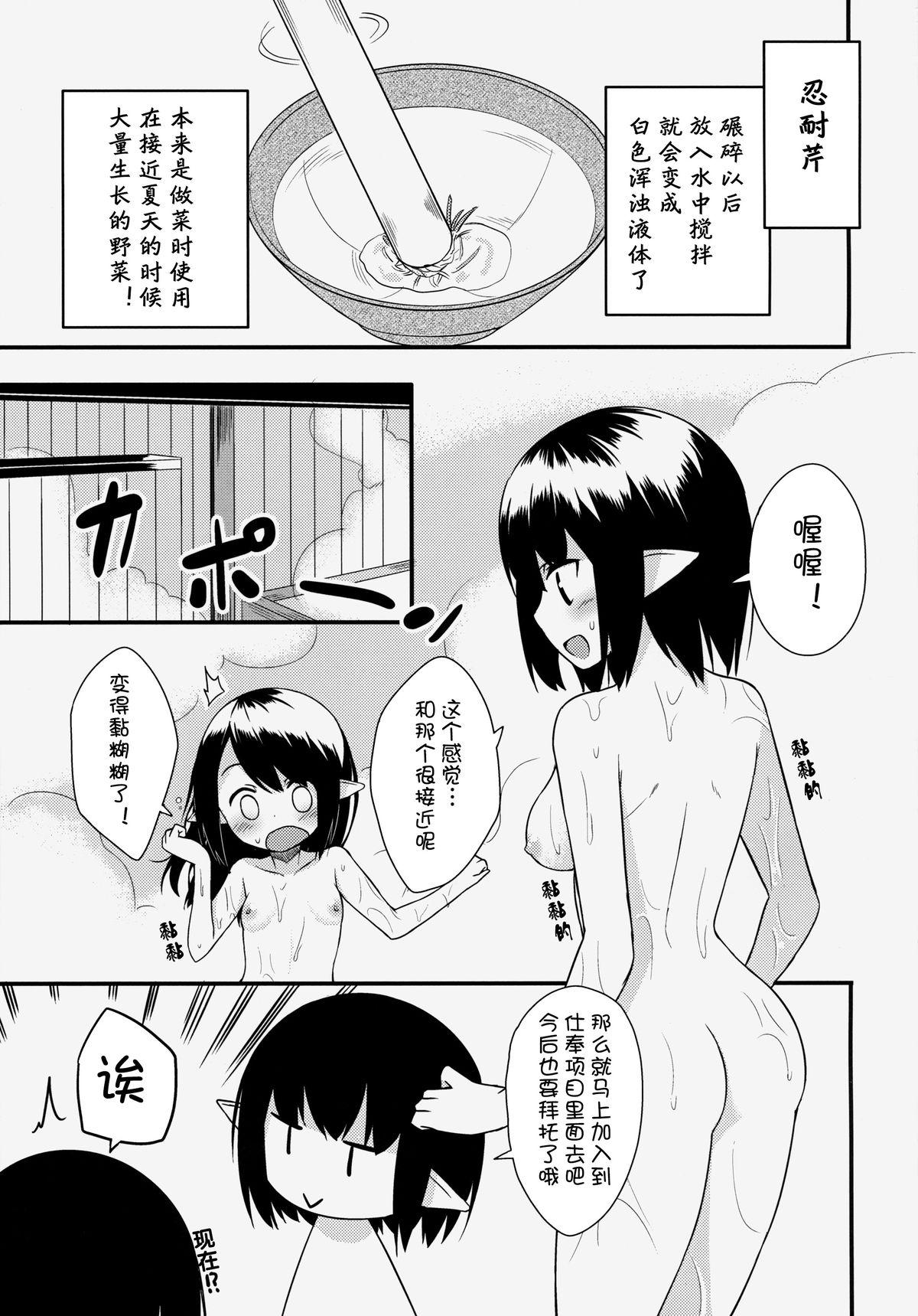 エルフ姉妹の挑戦(C85) [忘らるる手紙 (びんせん)]  [中国翻訳](28页)