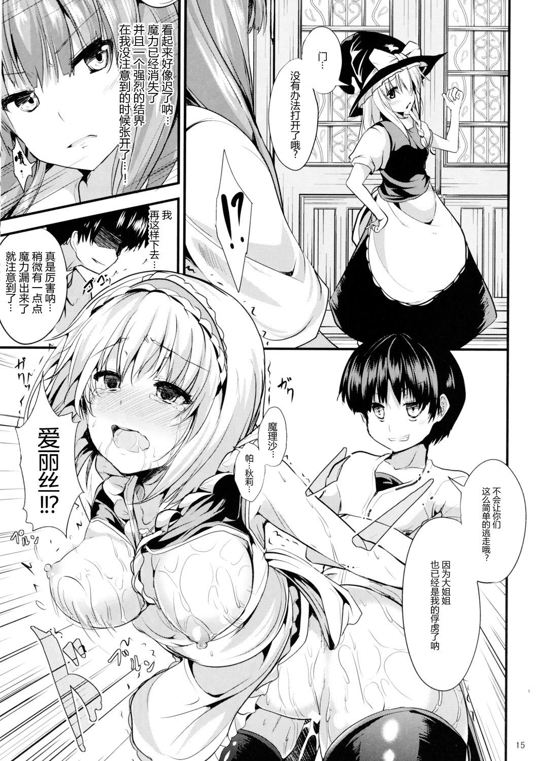 サタニックカーニバル 2(C87) [うぉーたーどろっぷ (MA-SA)]  (東方Project) [中国翻訳](34页)