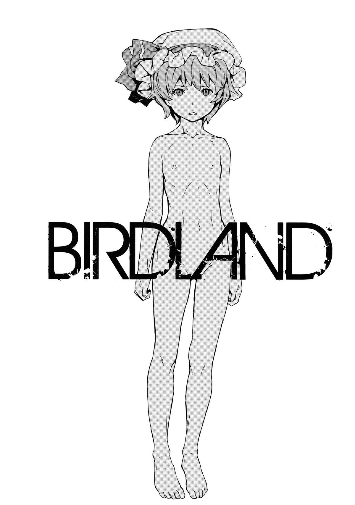 BIRDLAND(例大祭9) [笑顔で暴力 (mogg)]  (東方Project) [中国翻訳](32页)