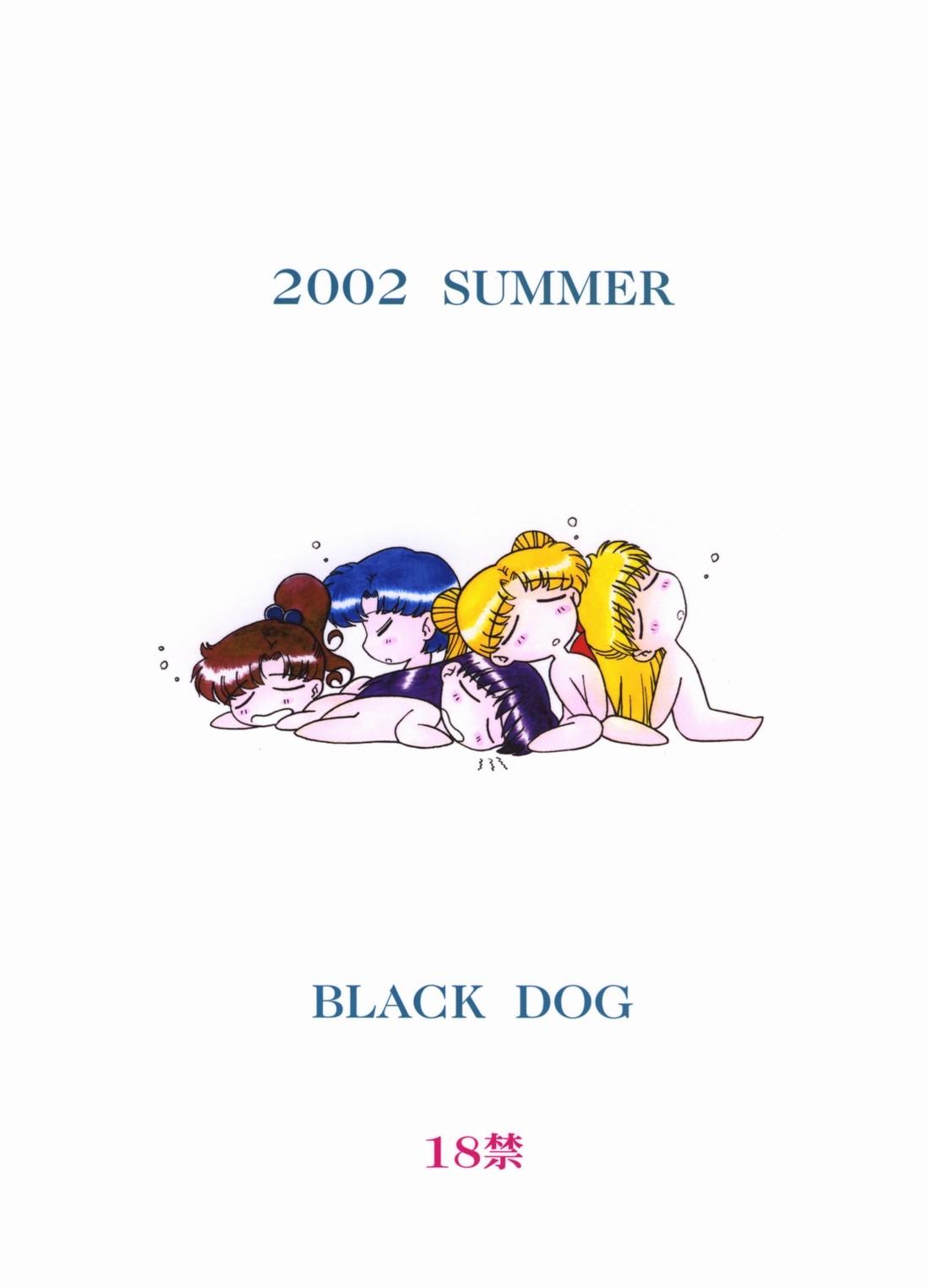 SUBMISSION SAILOR STARS(C57) [BLACK DOG (黒犬獣)]  (美少女戦士セーラームーン) [中国翻訳](146页)