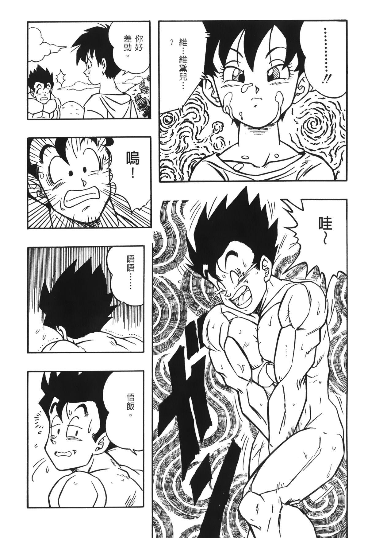 ドラゴンパール 03[島三名]  [中国翻訳](161页)