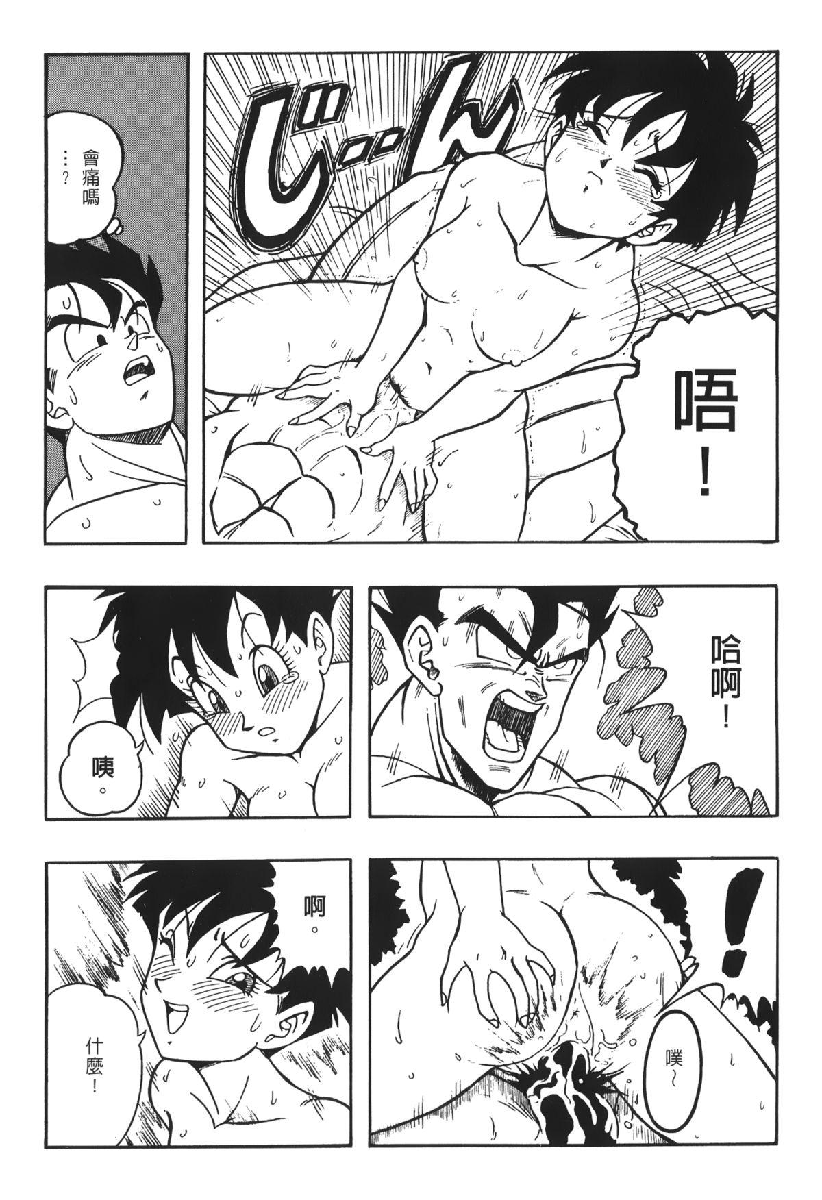 ドラゴンパール 03[島三名]  [中国翻訳](161页)