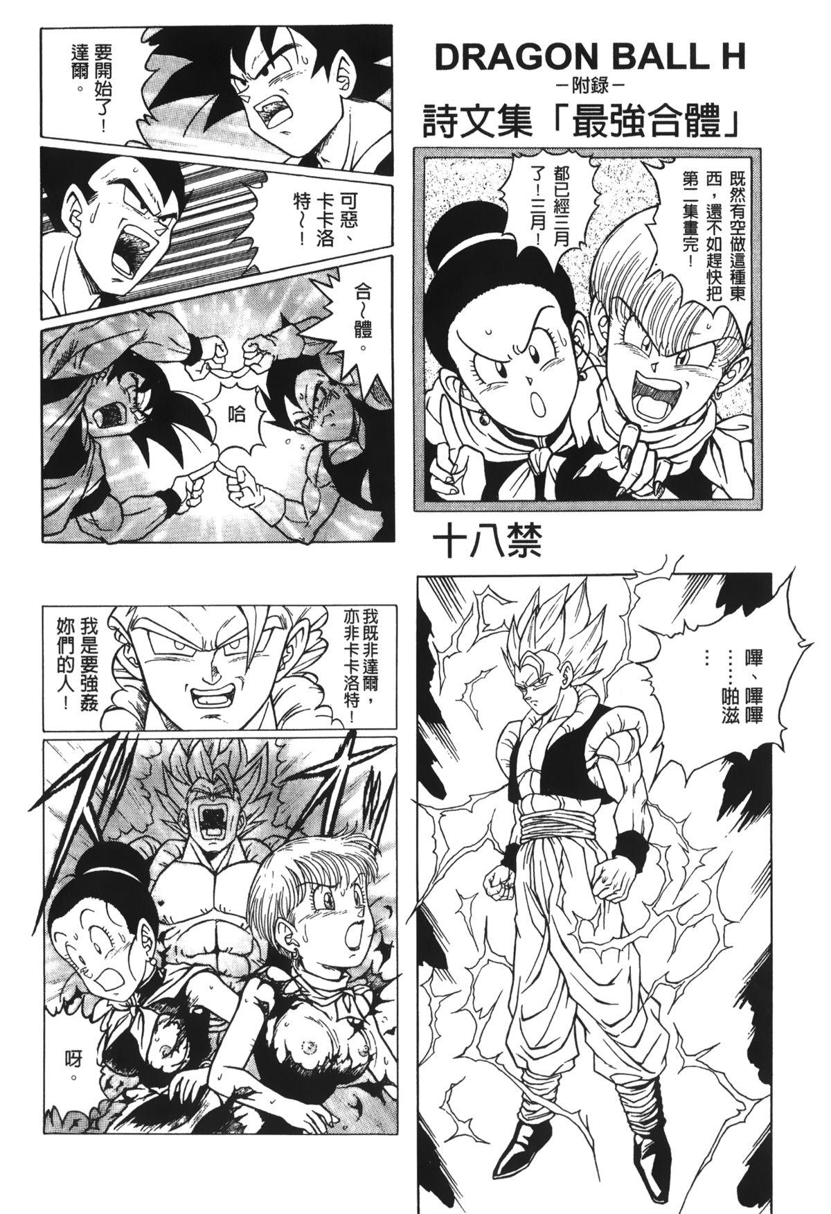 ドラゴンパール 03[島三名]  [中国翻訳](161页)