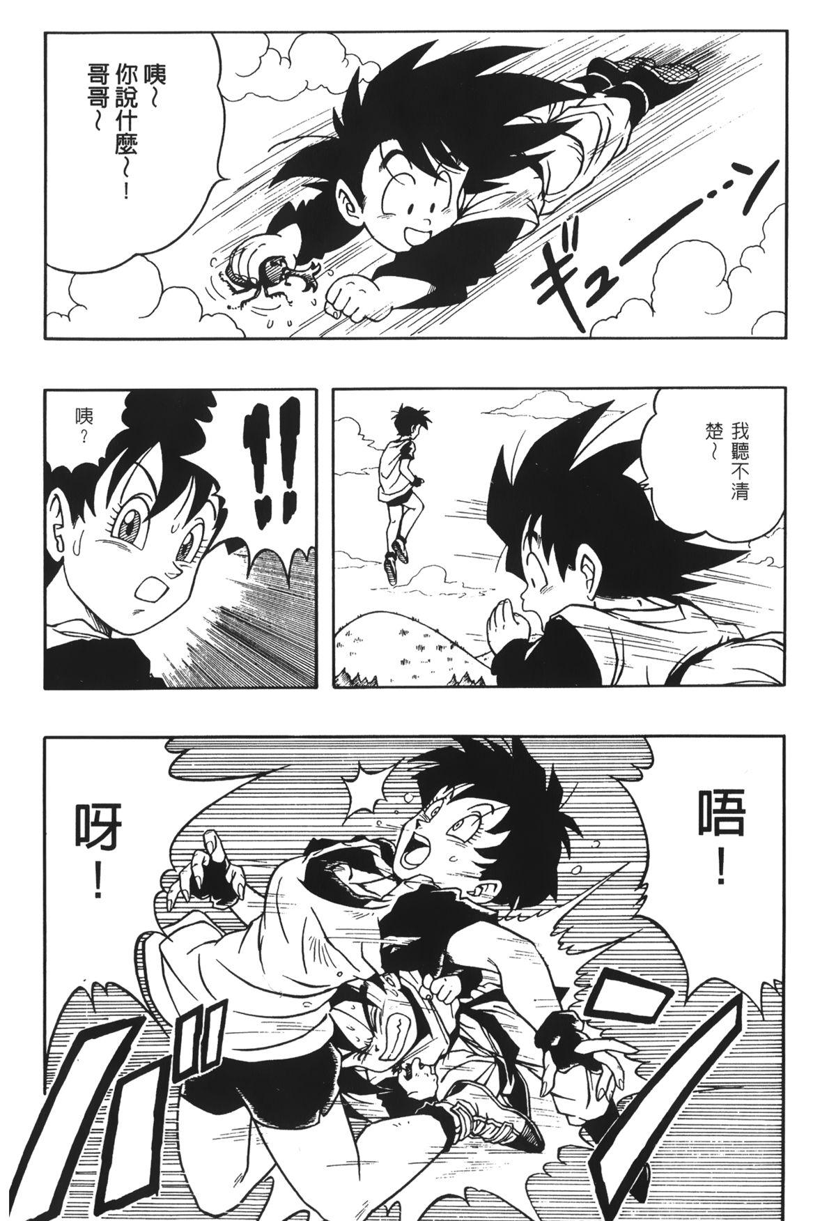 ドラゴンパール 03[島三名]  [中国翻訳](161页)