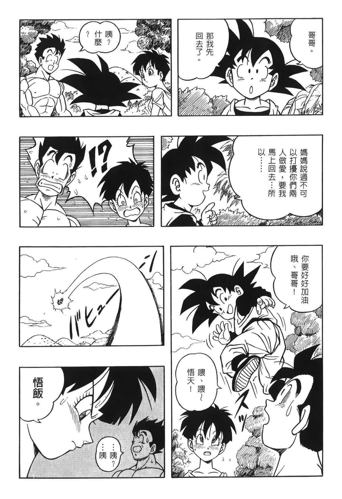 ドラゴンパール 03[島三名]  [中国翻訳](161页)