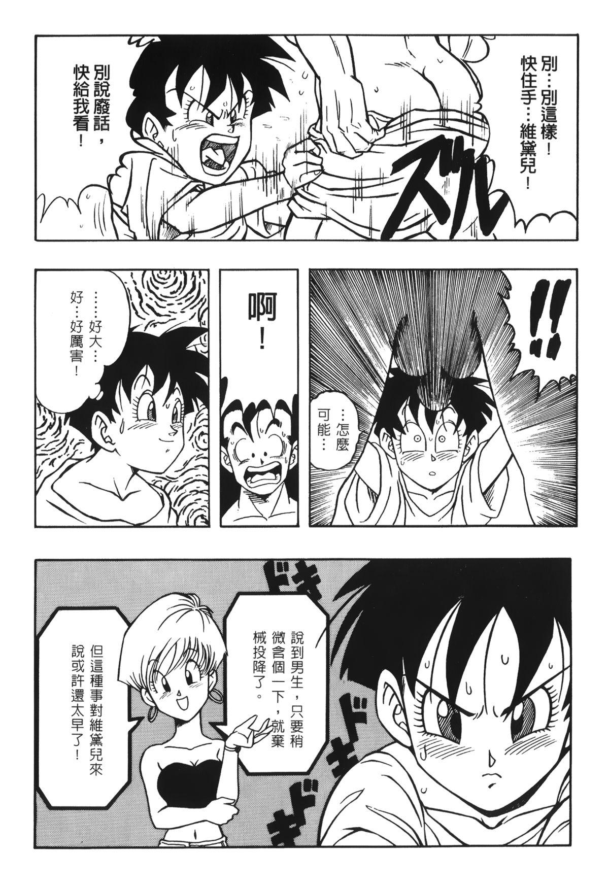 ドラゴンパール 03[島三名]  [中国翻訳](161页)