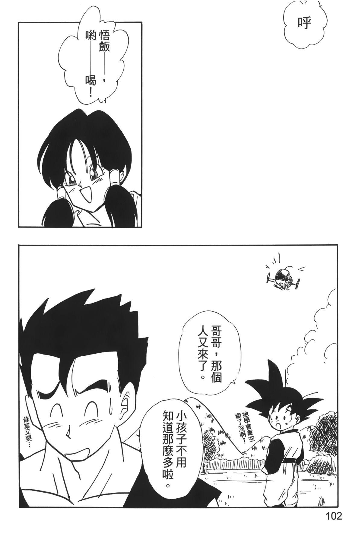 ドラゴンパール 04[島三名]  [中国翻訳](160页)