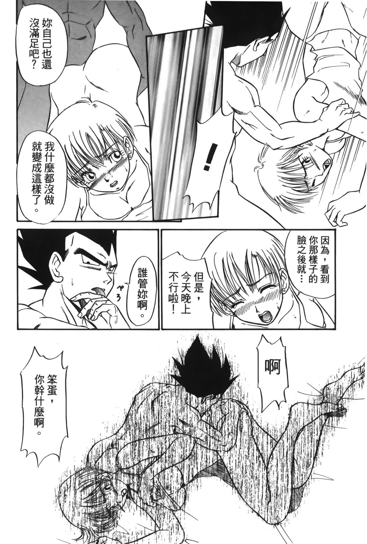 ドラゴンパール 04[島三名]  [中国翻訳](160页)