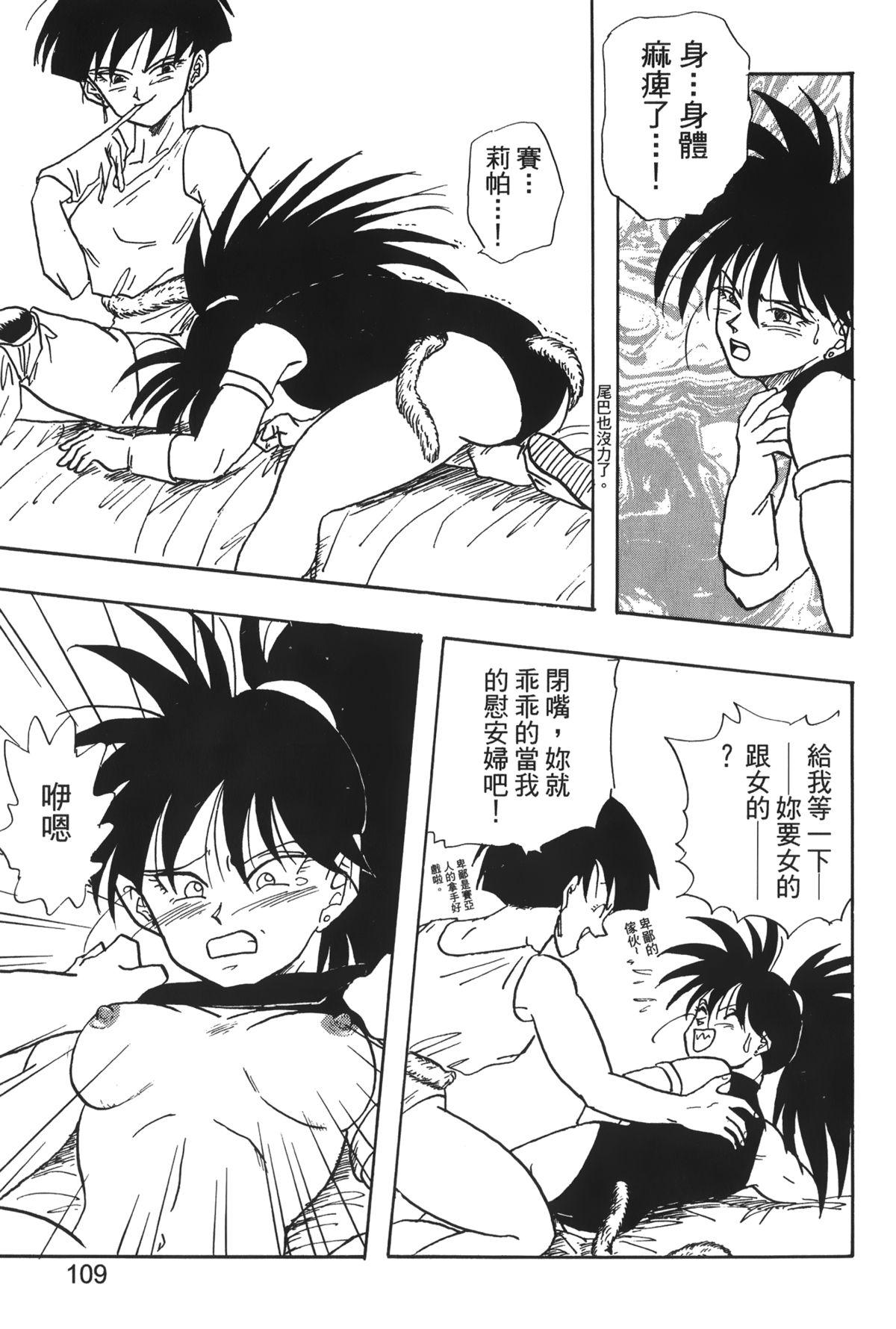 ドラゴンパール 04[島三名]  [中国翻訳](160页)