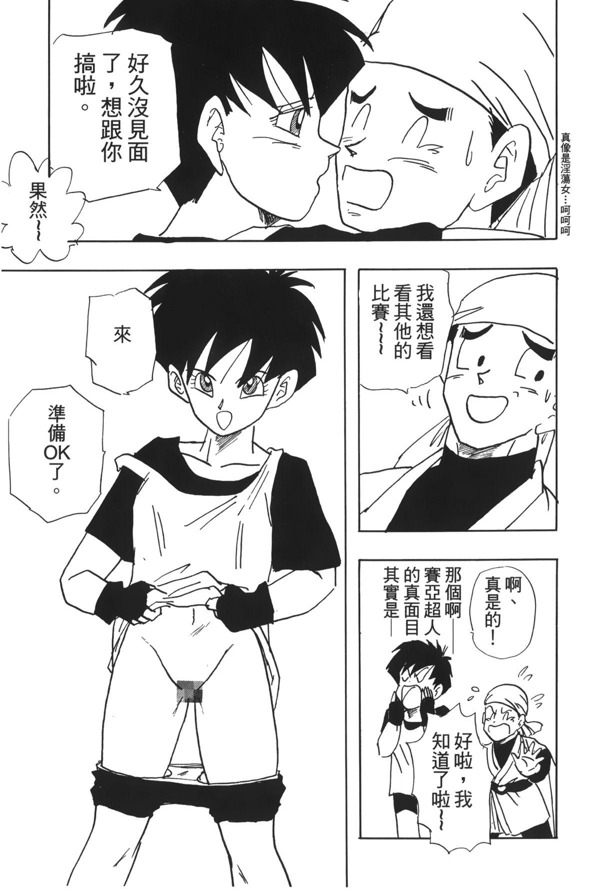 ドラゴンパール 04[島三名]  [中国翻訳](160页)