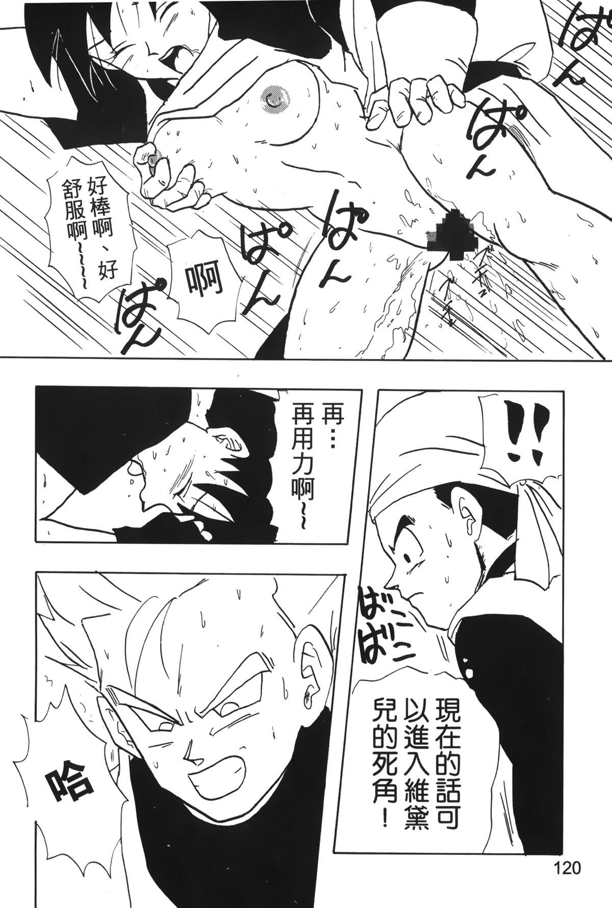 ドラゴンパール 04[島三名]  [中国翻訳](160页)