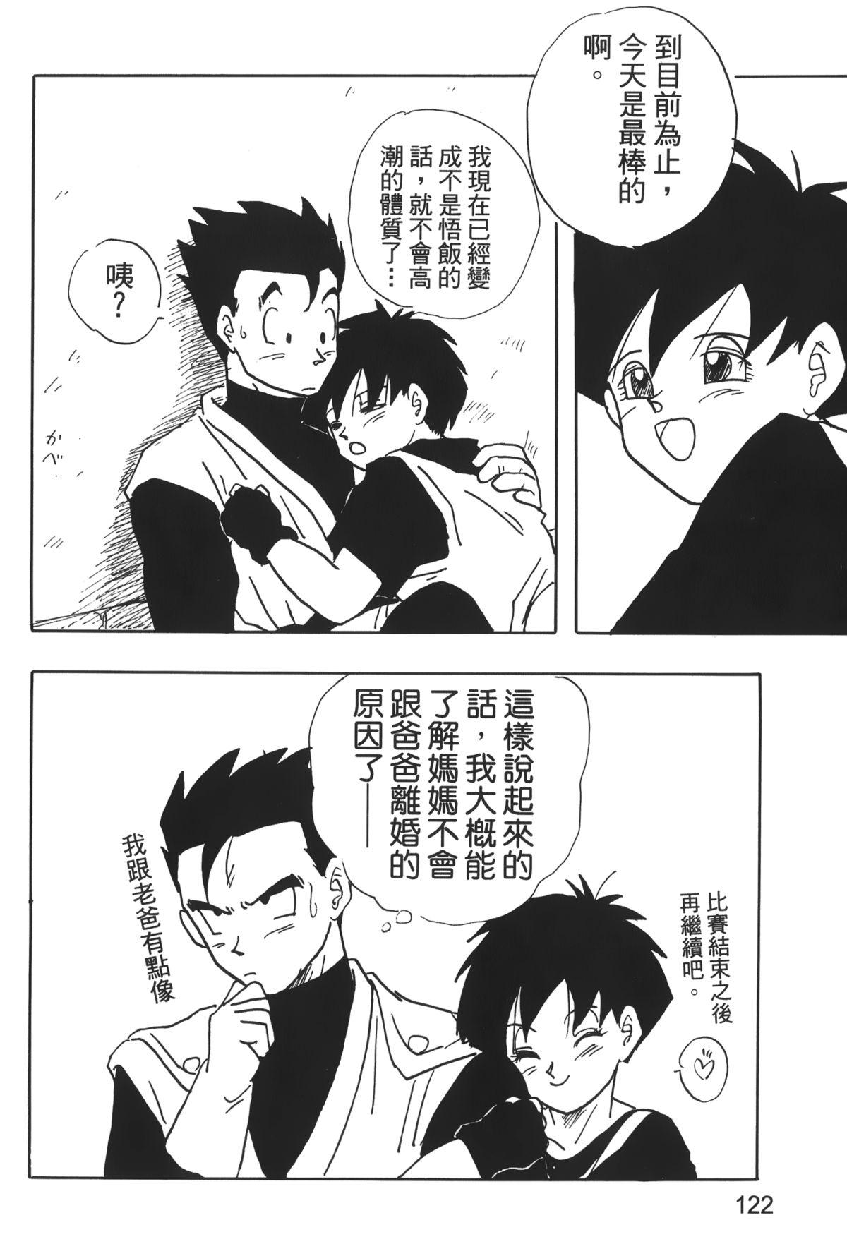 ドラゴンパール 04[島三名]  [中国翻訳](160页)