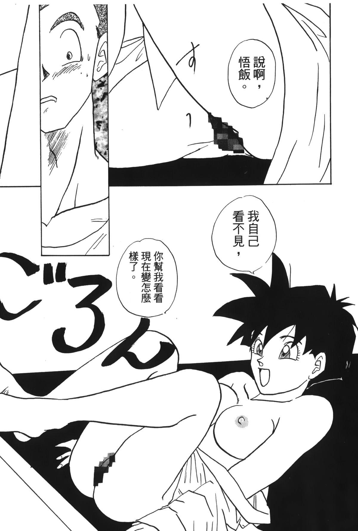 ドラゴンパール 04[島三名]  [中国翻訳](160页)