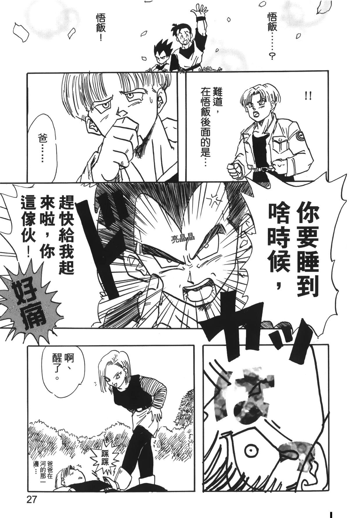 ドラゴンパール 04[島三名]  [中国翻訳](160页)