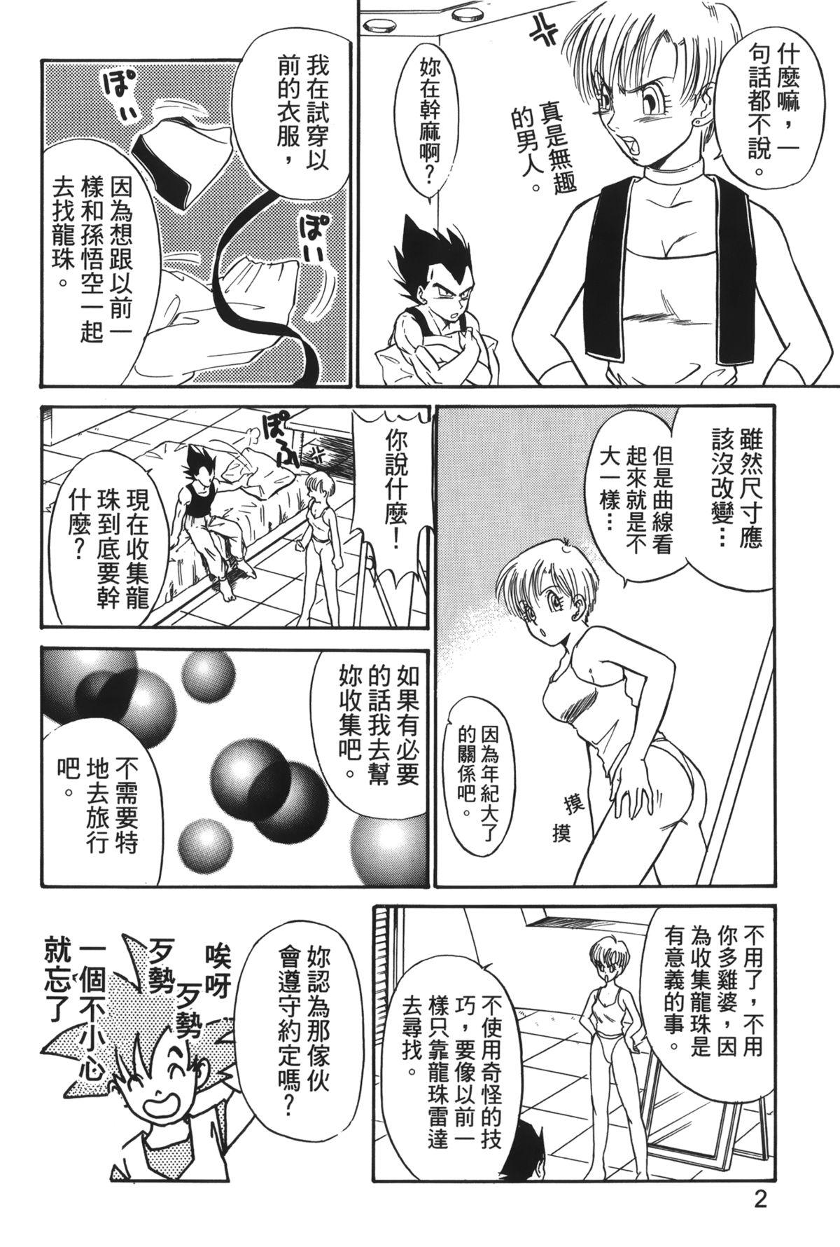 ドラゴンパール 04[島三名]  [中国翻訳](160页)