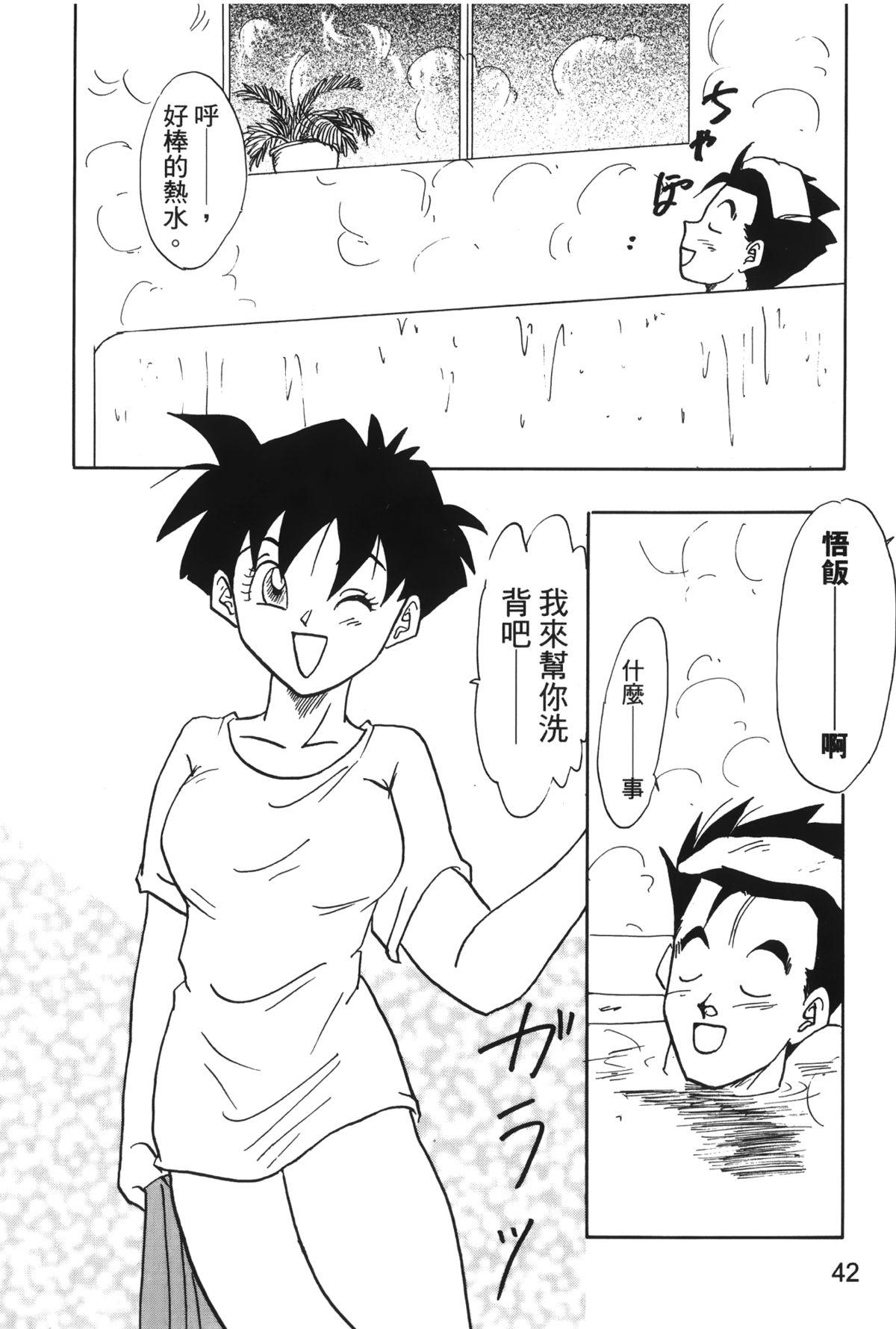 ドラゴンパール 04[島三名]  [中国翻訳](160页)