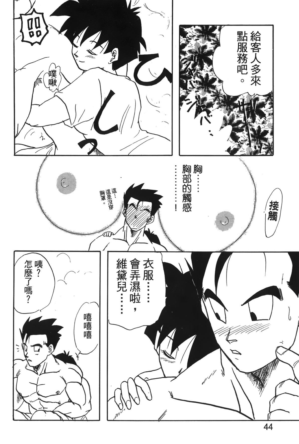 ドラゴンパール 04[島三名]  [中国翻訳](160页)