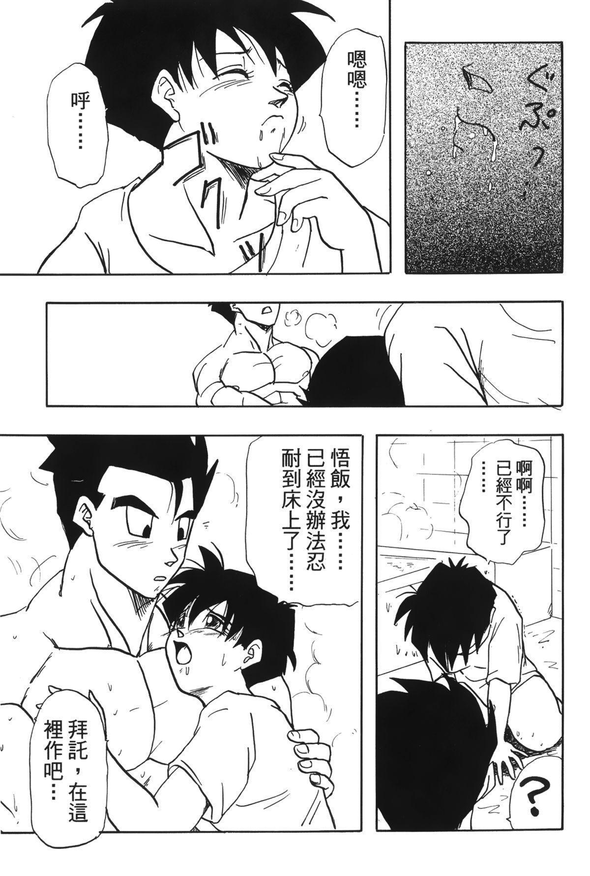 ドラゴンパール 04[島三名]  [中国翻訳](160页)