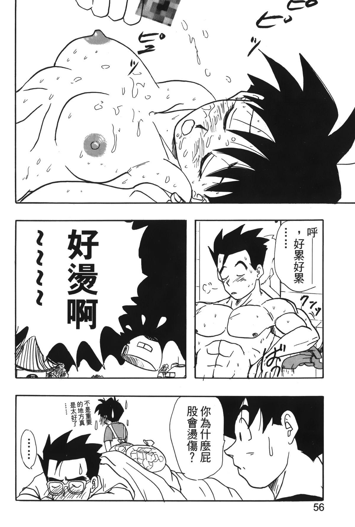 ドラゴンパール 04[島三名]  [中国翻訳](160页)