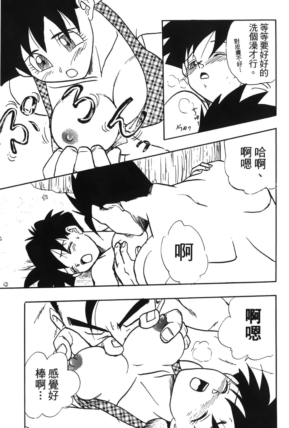 ドラゴンパール 04[島三名]  [中国翻訳](160页)