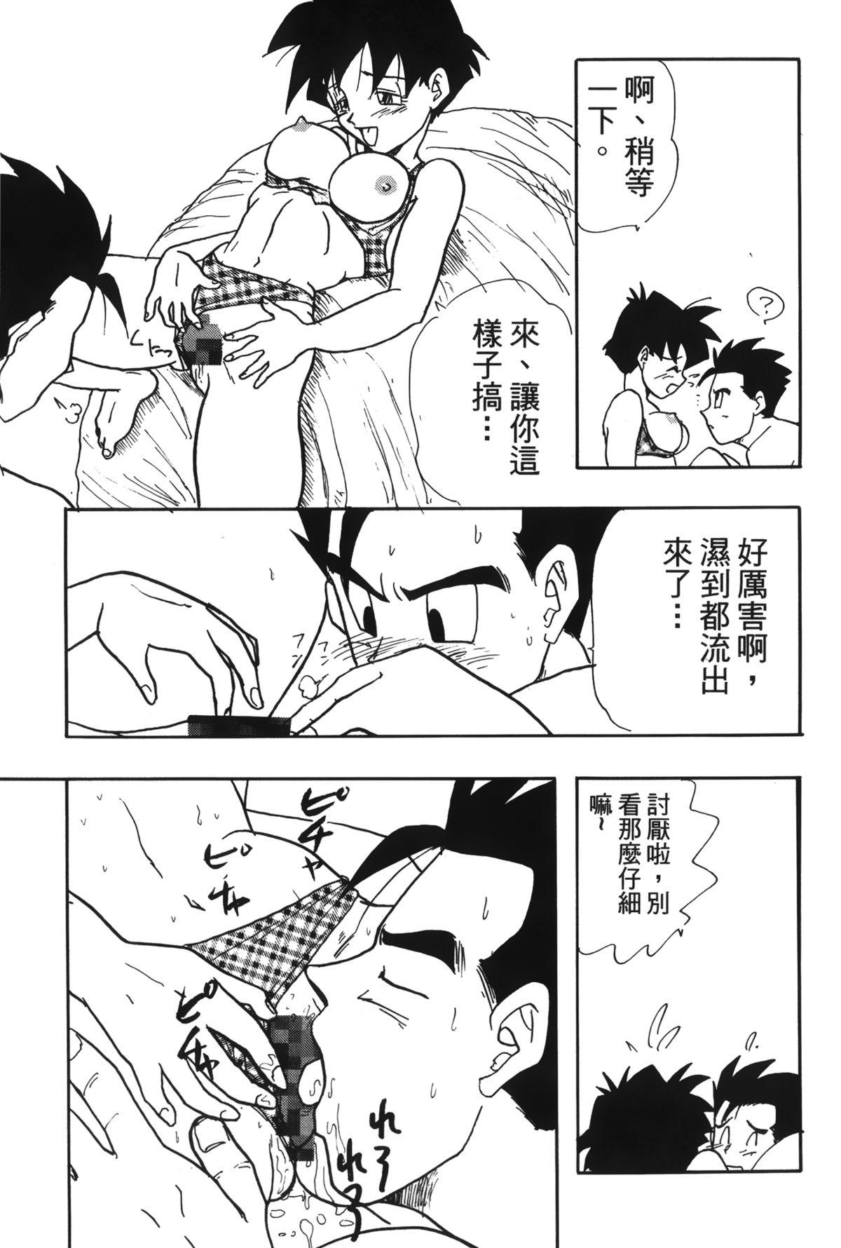 ドラゴンパール 04[島三名]  [中国翻訳](160页)