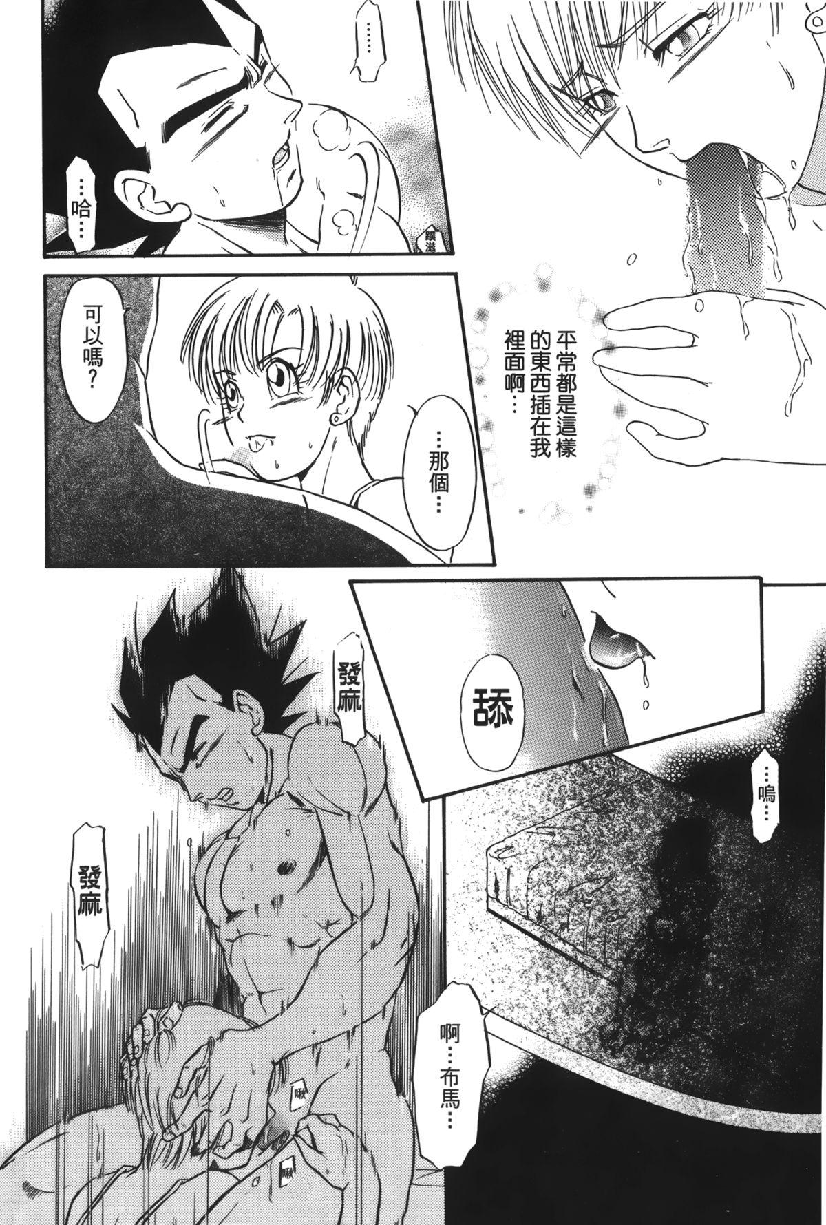 ドラゴンパール 04[島三名]  [中国翻訳](160页)