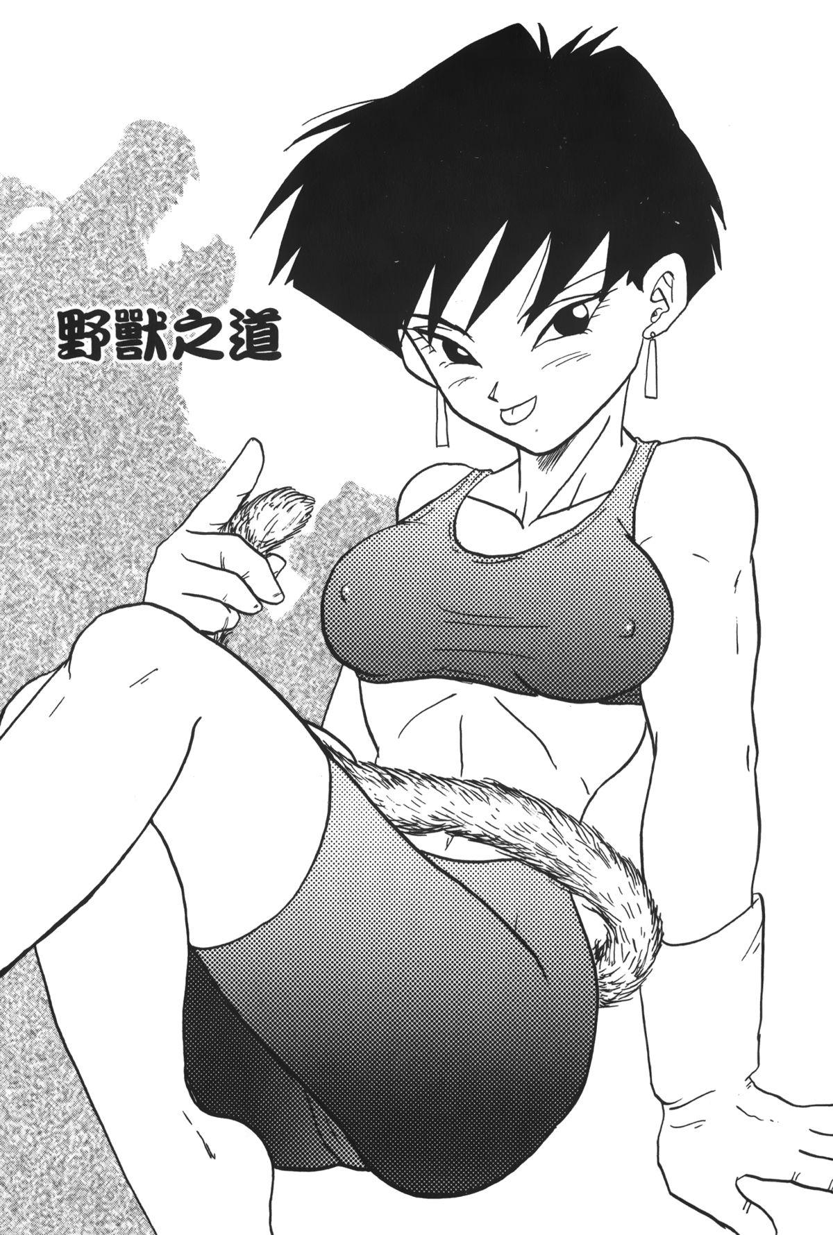 ドラゴンパール 04[島三名]  [中国翻訳](160页)