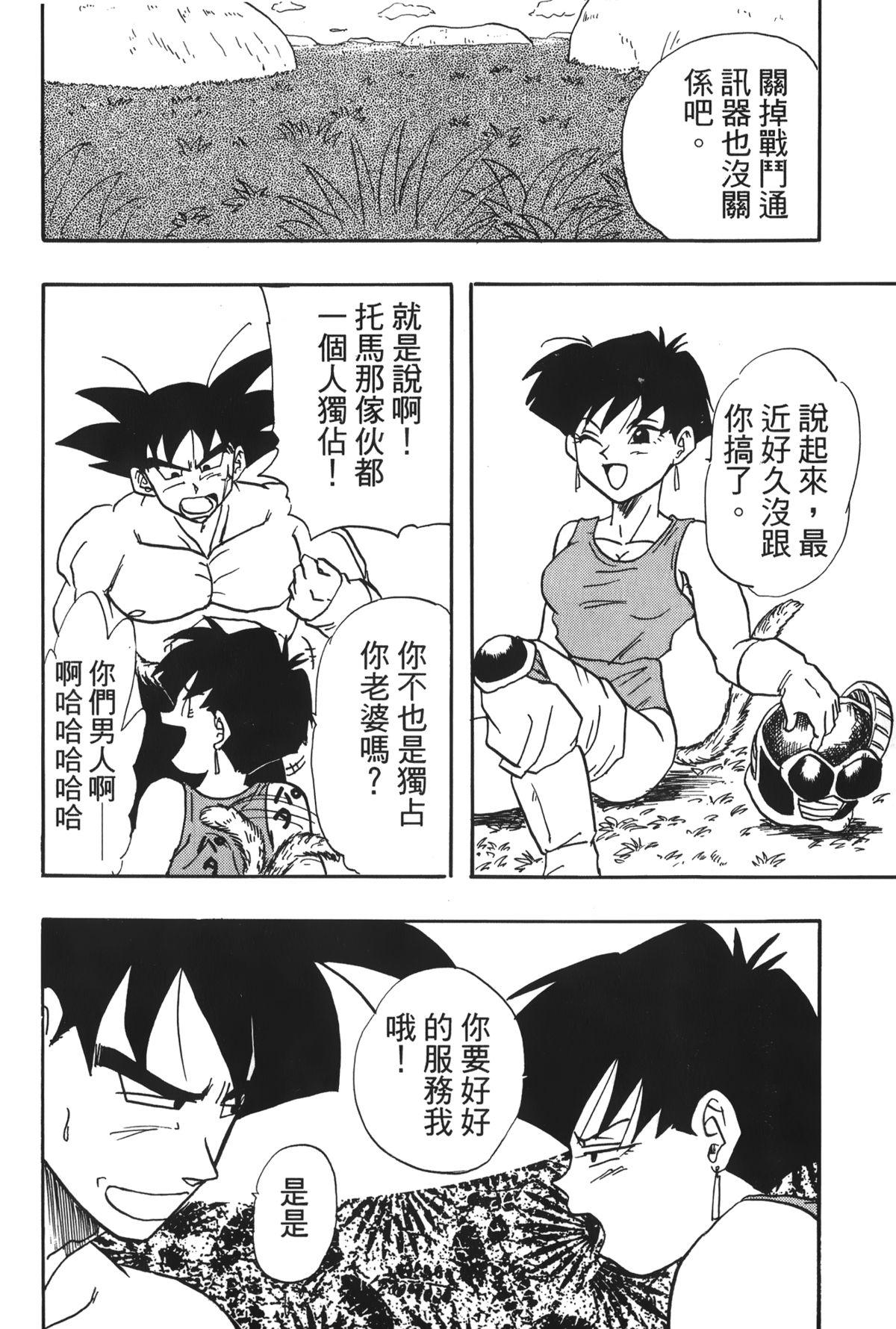 ドラゴンパール 04[島三名]  [中国翻訳](160页)