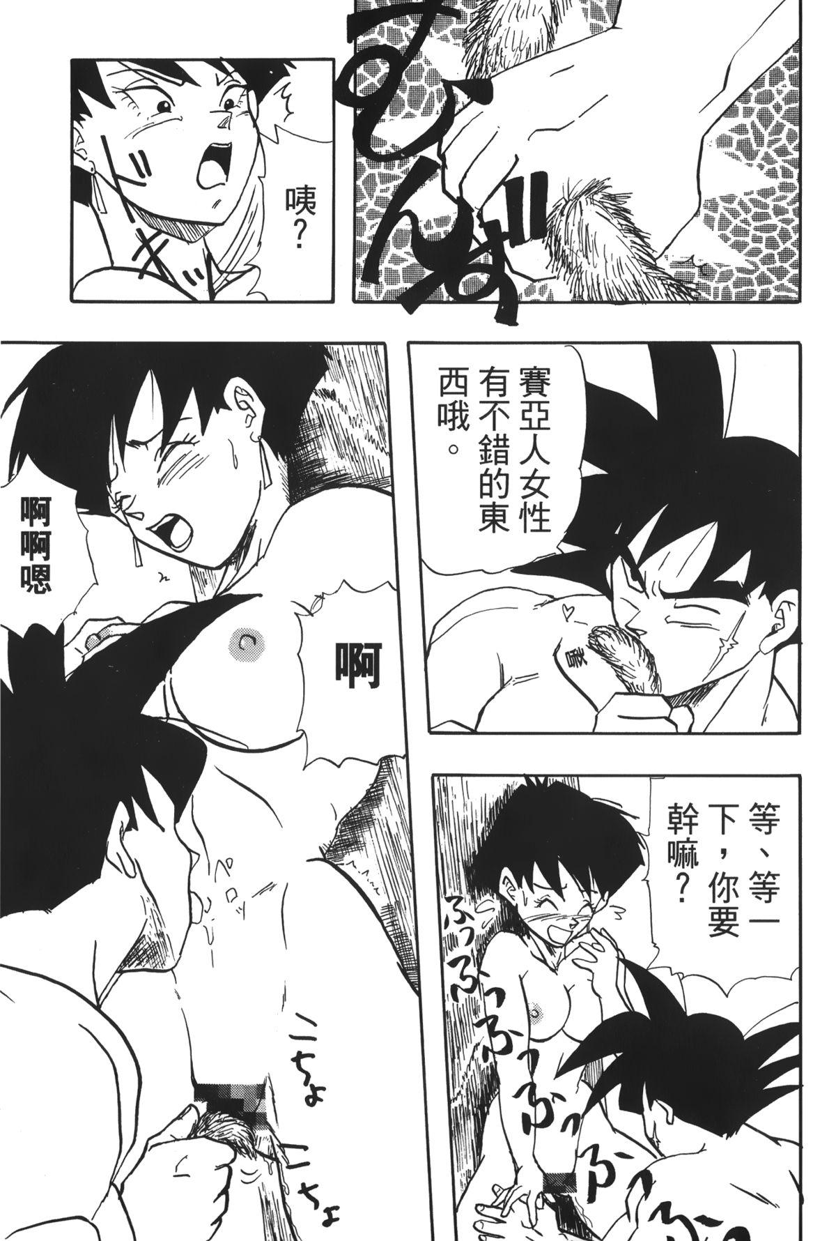 ドラゴンパール 04[島三名]  [中国翻訳](160页)