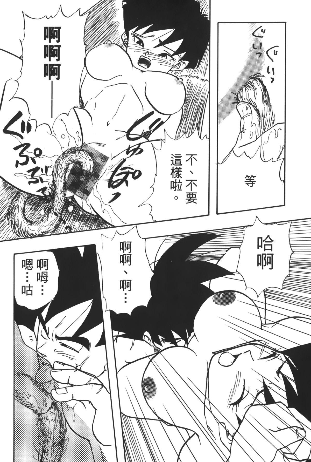 ドラゴンパール 04[島三名]  [中国翻訳](160页)