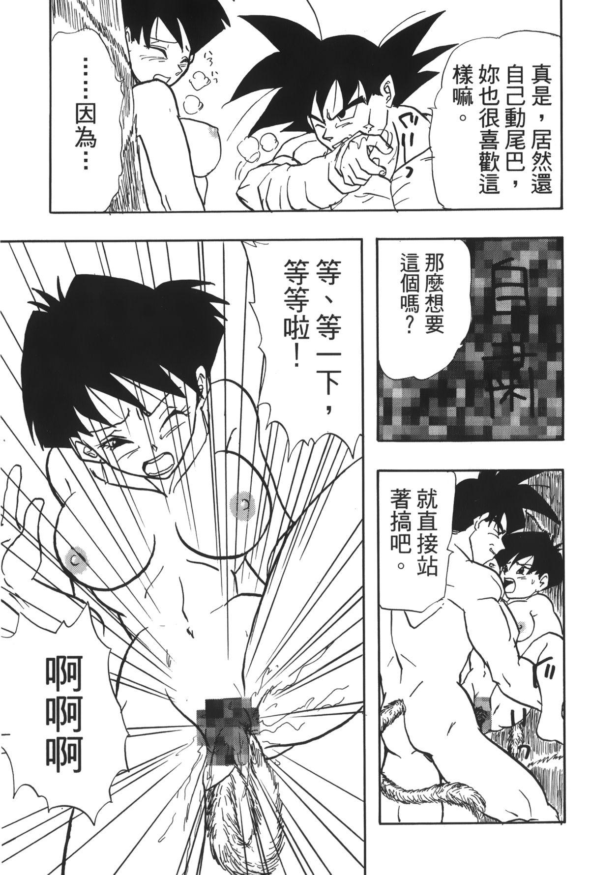 ドラゴンパール 04[島三名]  [中国翻訳](160页)