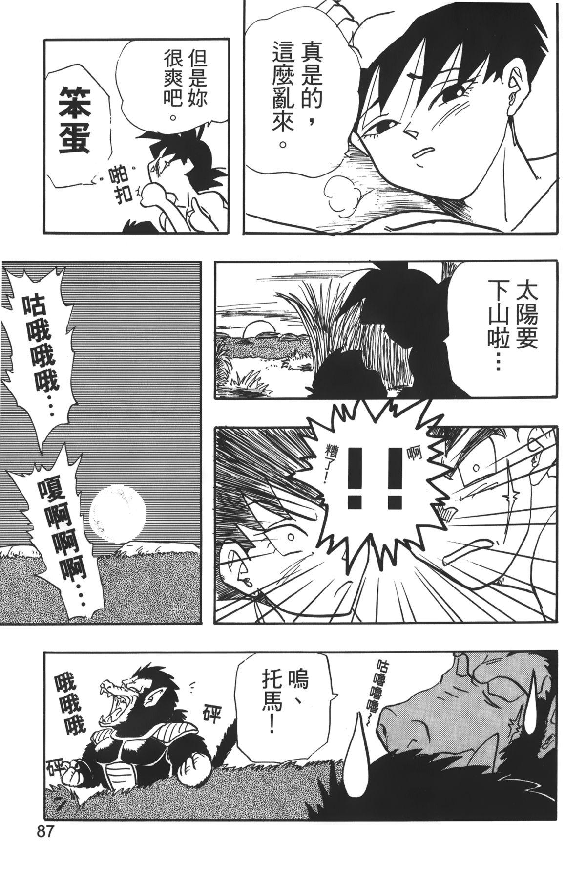 ドラゴンパール 04[島三名]  [中国翻訳](160页)