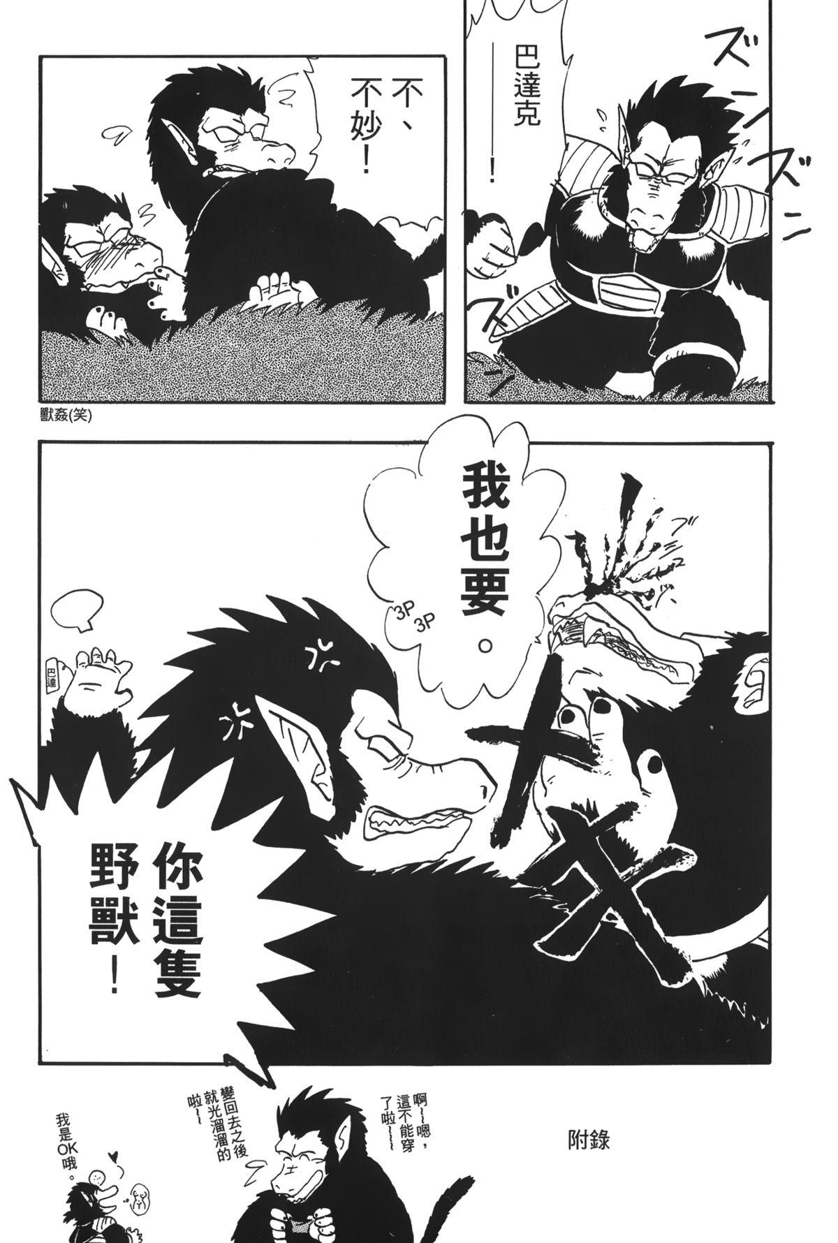 ドラゴンパール 04[島三名]  [中国翻訳](160页)