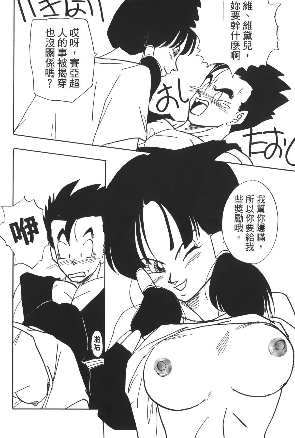 ドラゴンパール 04[島三名]  [中国翻訳](160页)