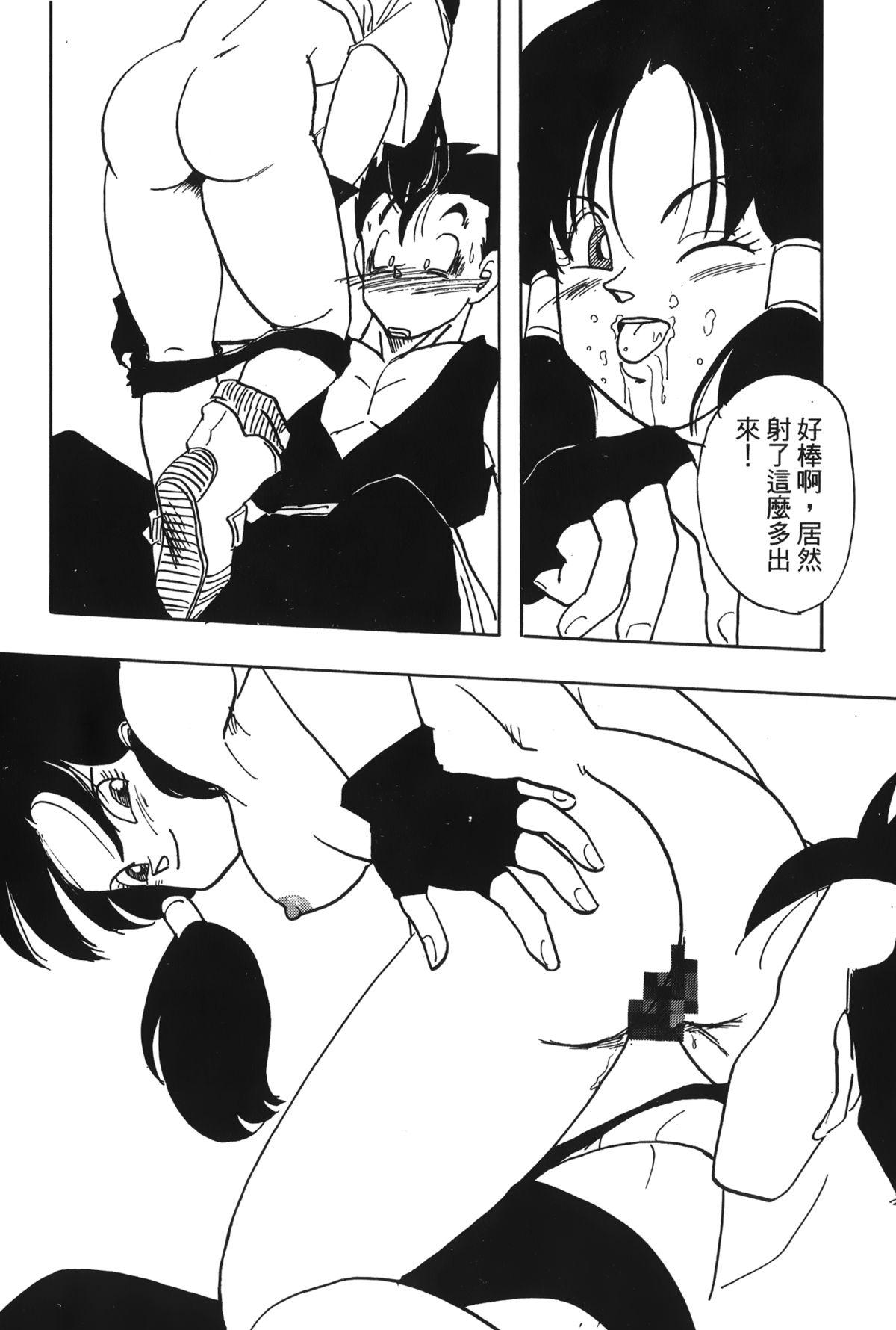 ドラゴンパール 04[島三名]  [中国翻訳](160页)