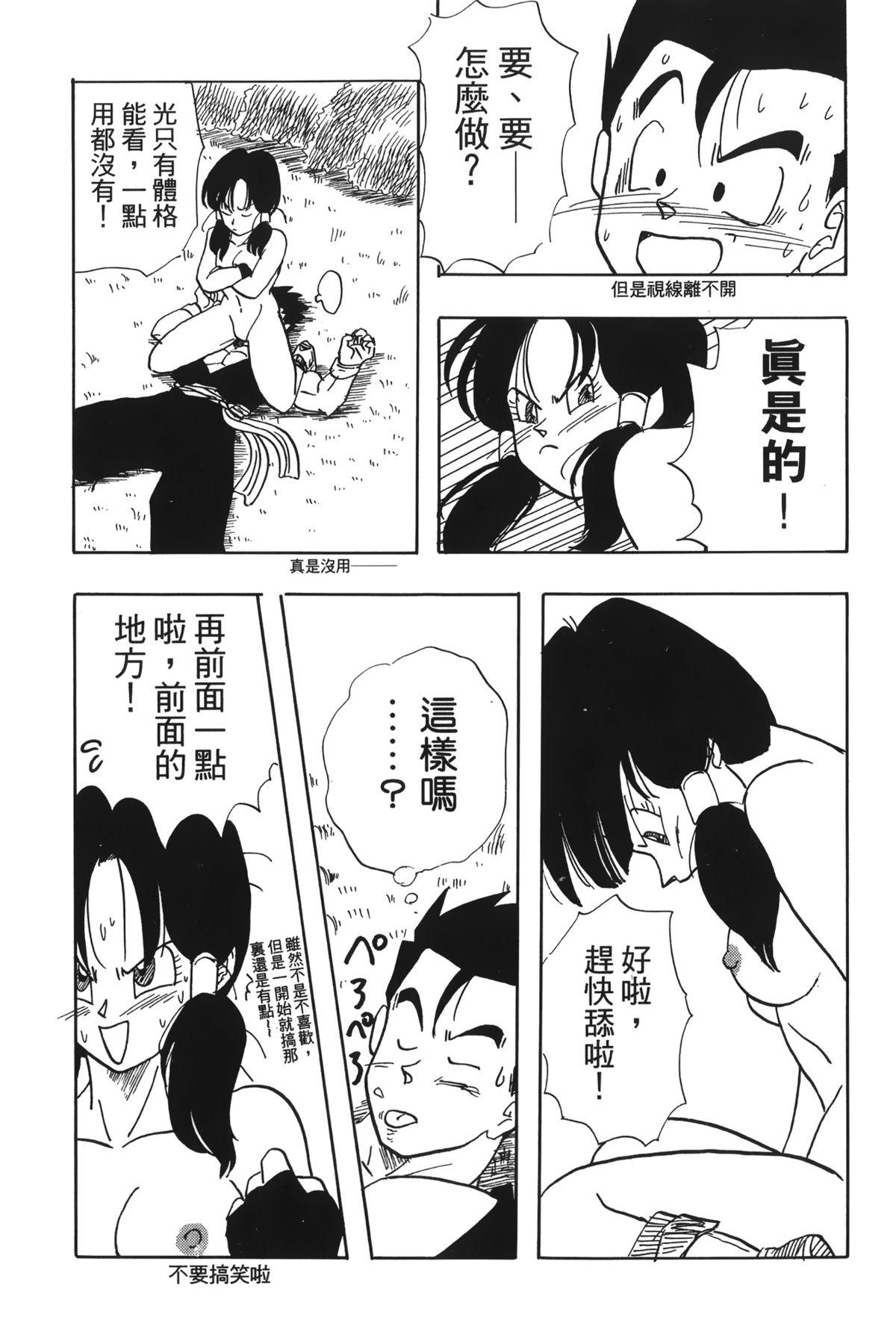 ドラゴンパール 04[島三名]  [中国翻訳](160页)