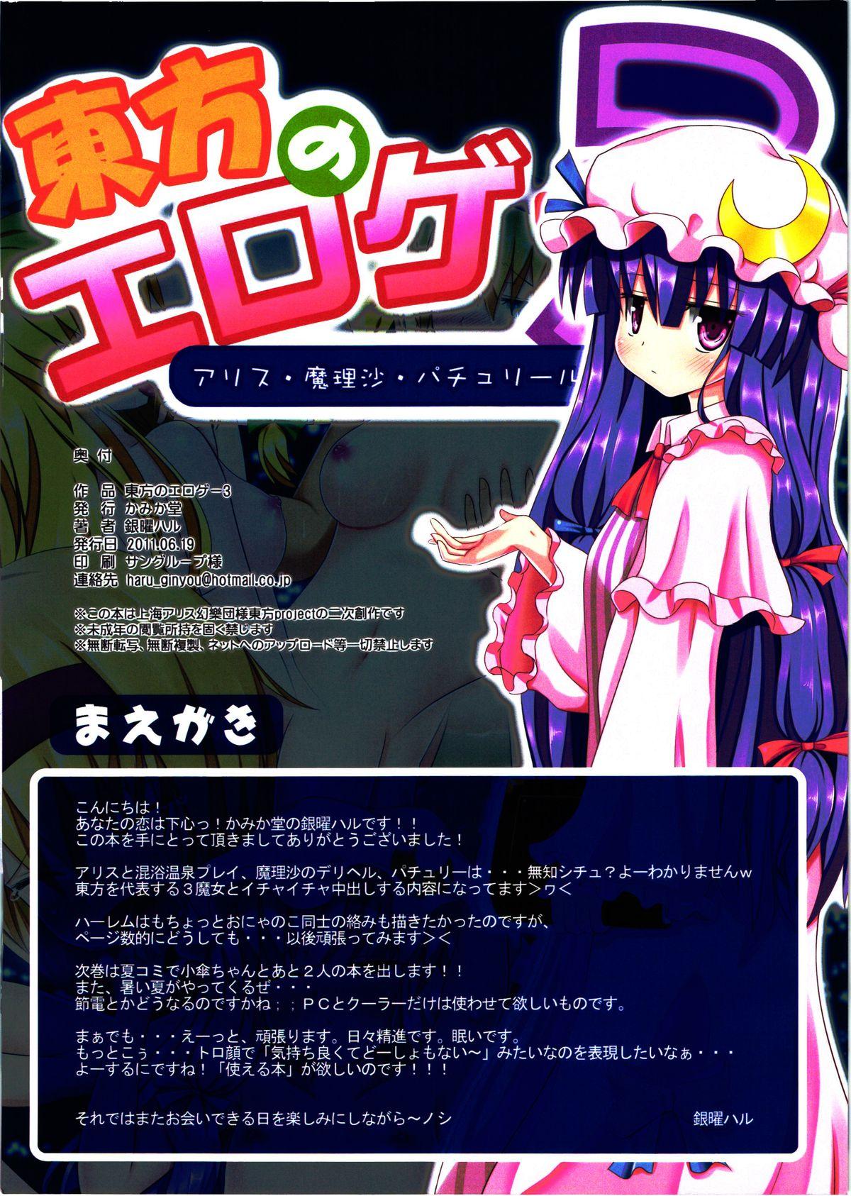 東方のエロゲー3(サンクリ52) [かみか堂 (銀曜ハル)]  (東方Project) [中国翻訳](21页)