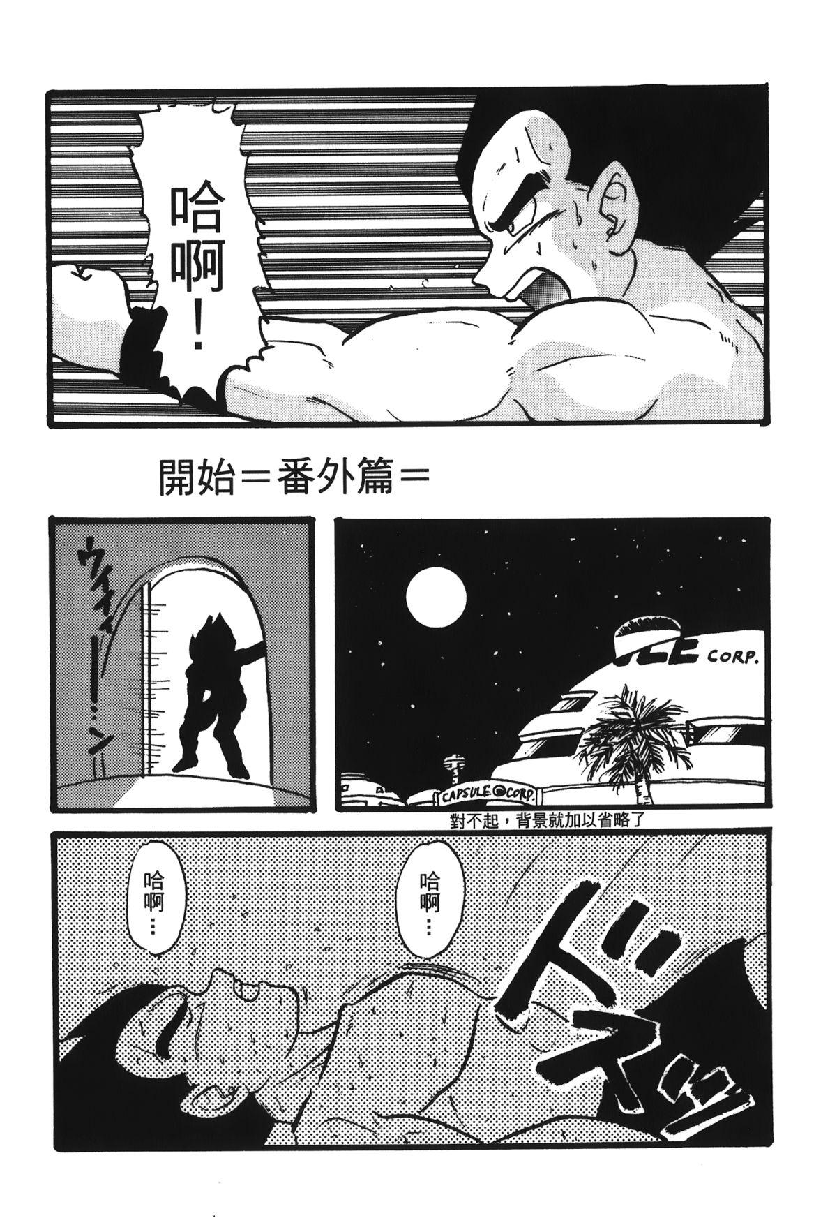 ドラゴンパール 05[島三名]  [中国翻訳](157页)