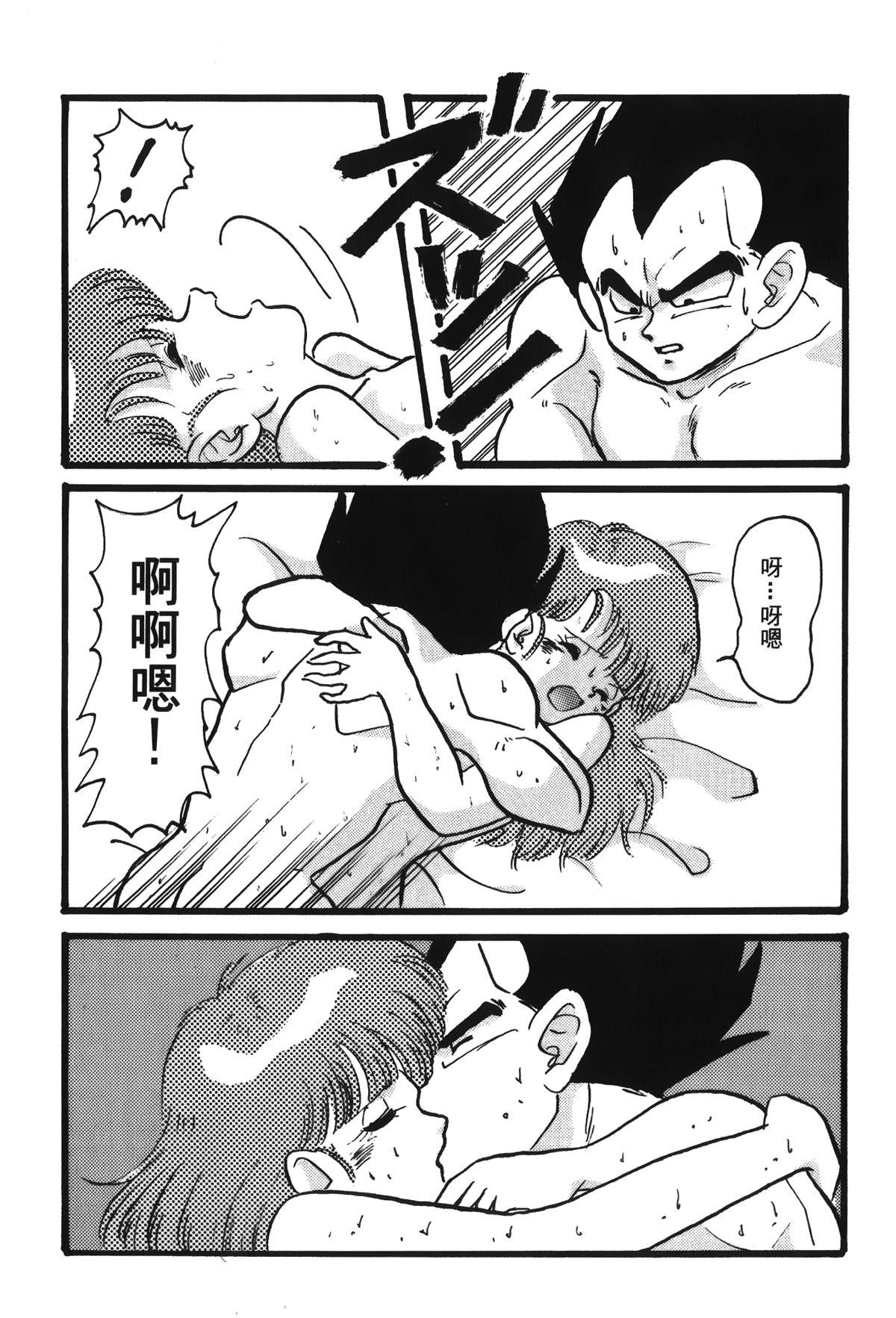 ドラゴンパール 05[島三名]  [中国翻訳](157页)