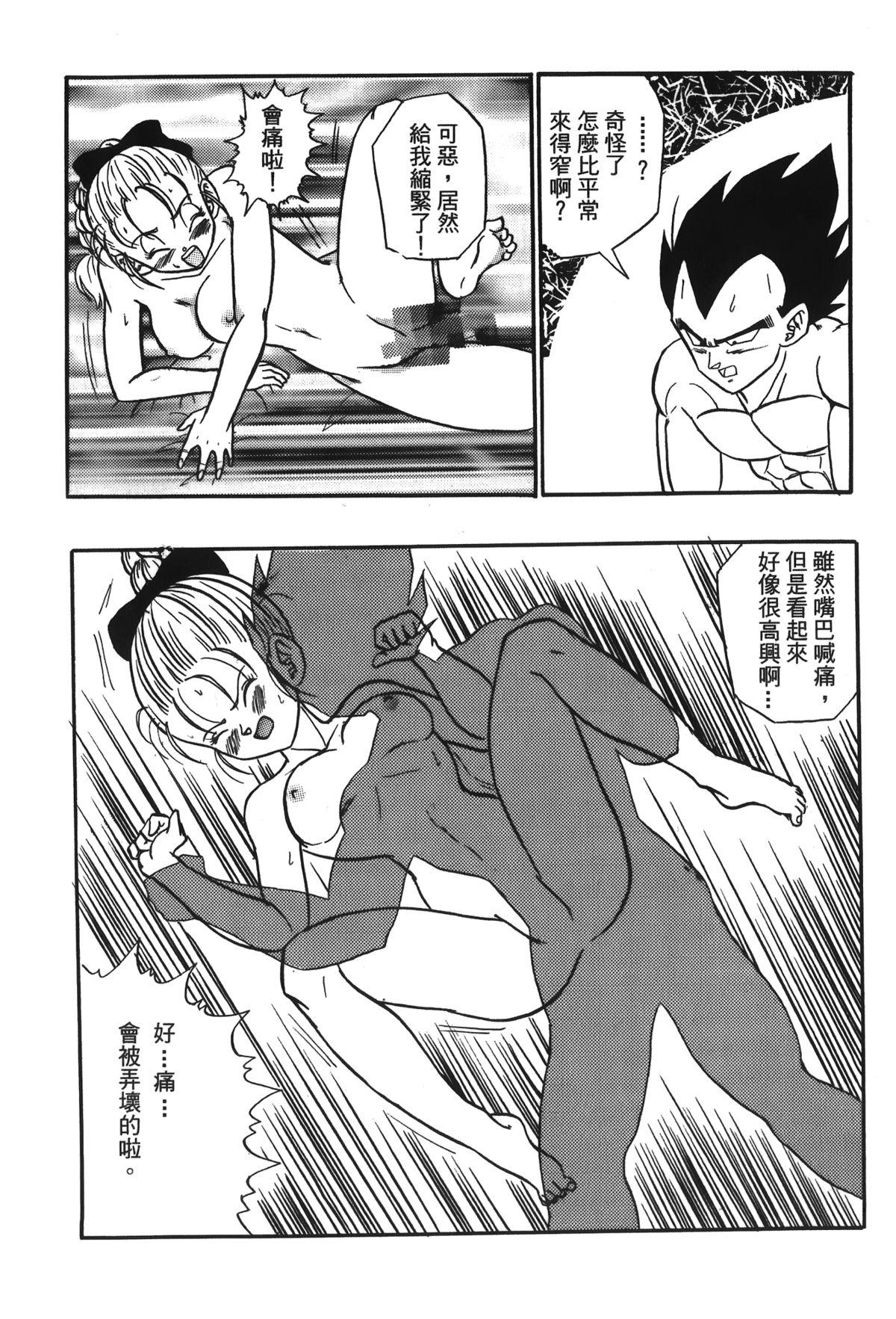 ドラゴンパール 05[島三名]  [中国翻訳](157页)