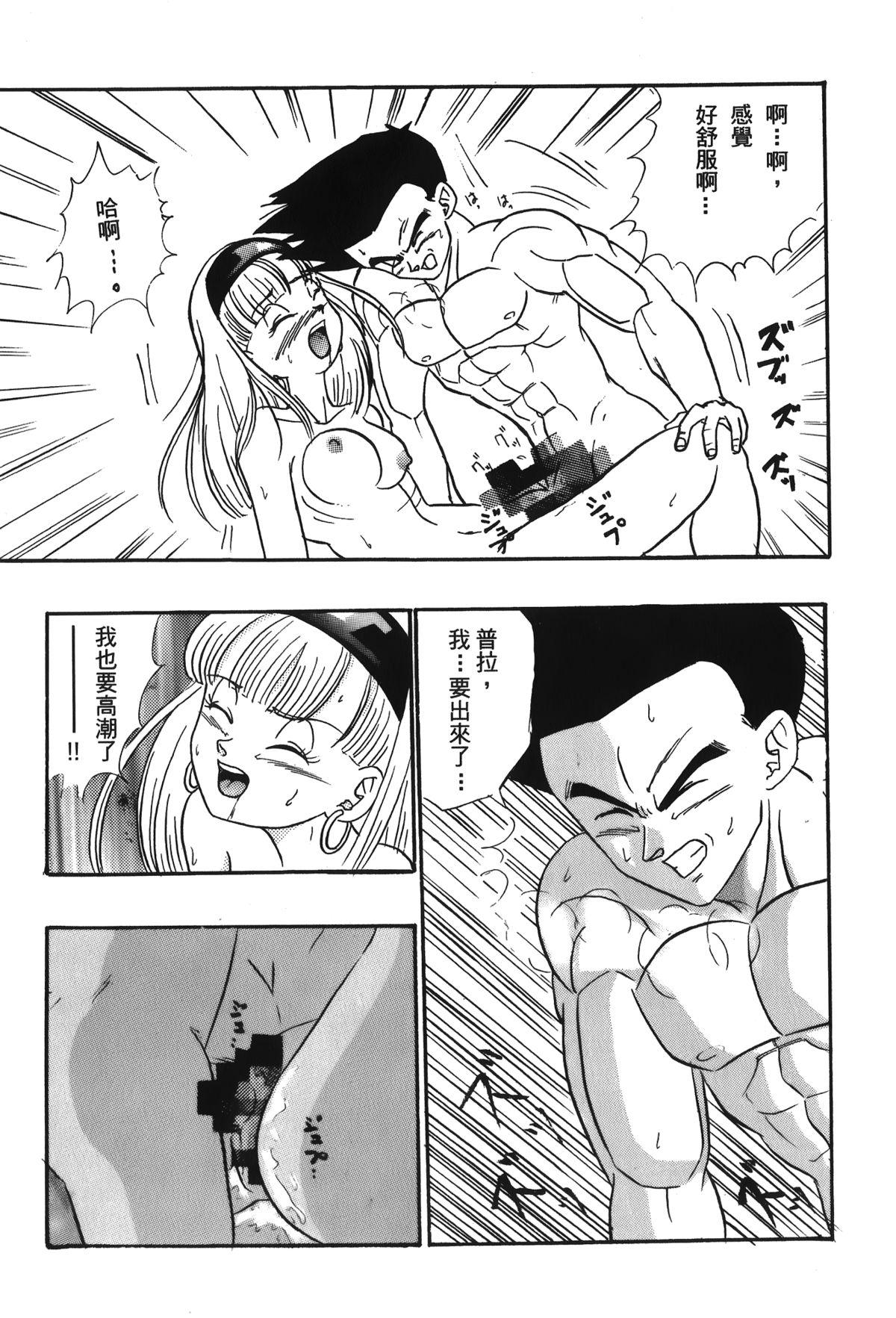 ドラゴンパール 05[島三名]  [中国翻訳](157页)