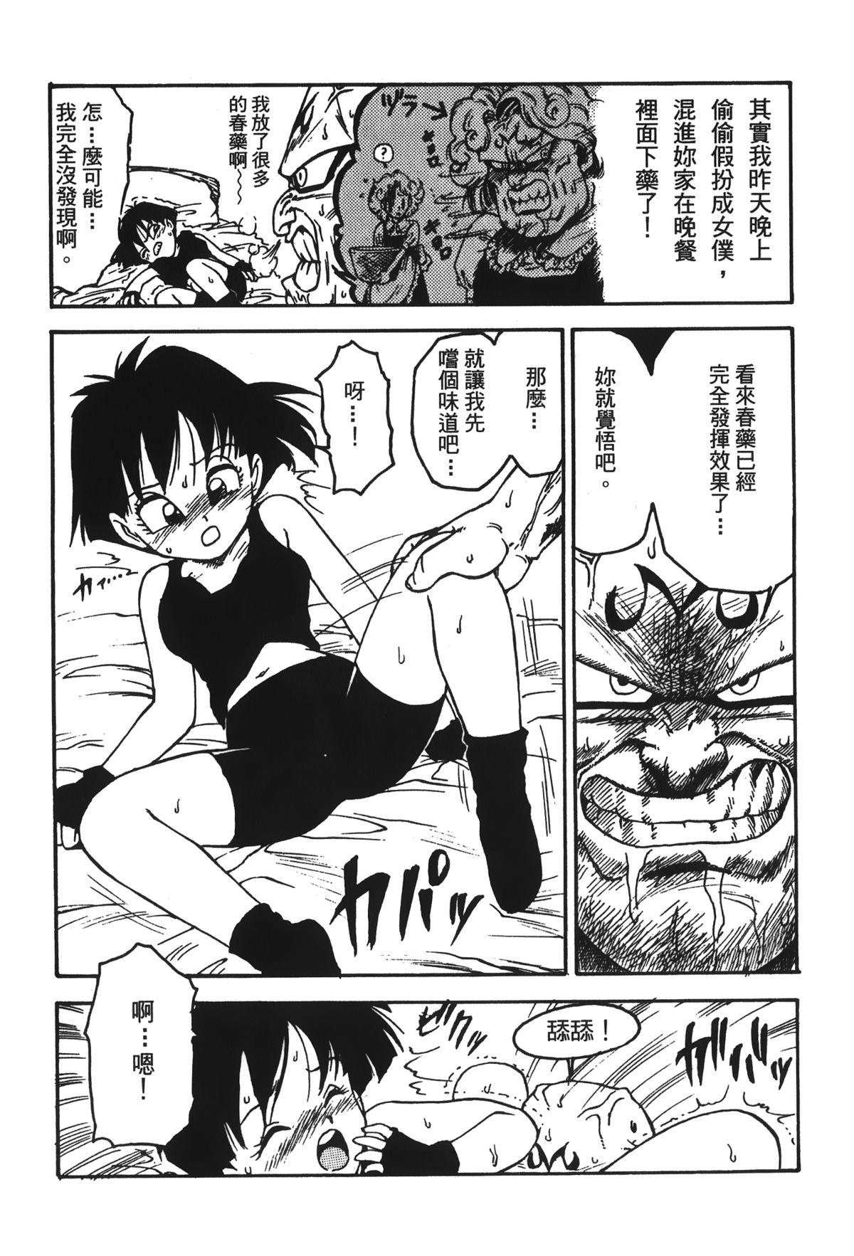 ドラゴンパール 05[島三名]  [中国翻訳](157页)