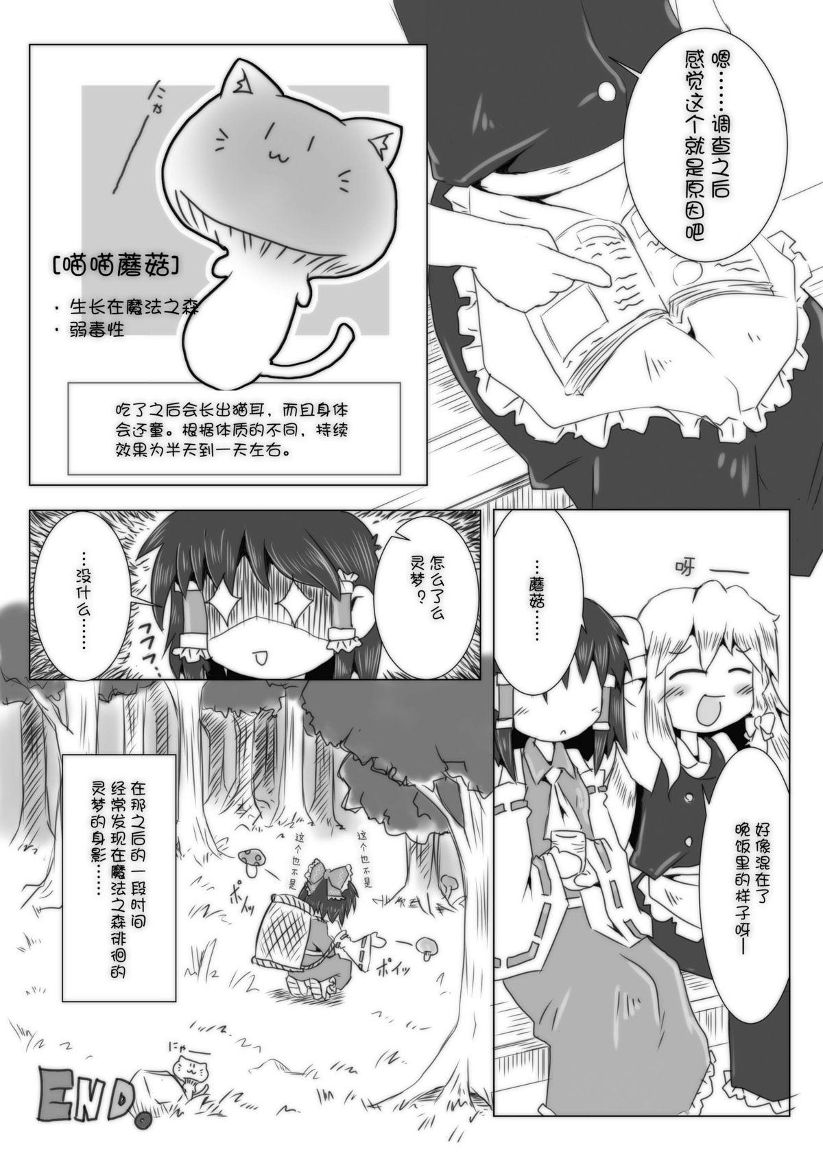 こねこ奇譚[虹幻工房 (緋良雪リオ)]  (東方Project) [中国翻訳] [DL版](26页)