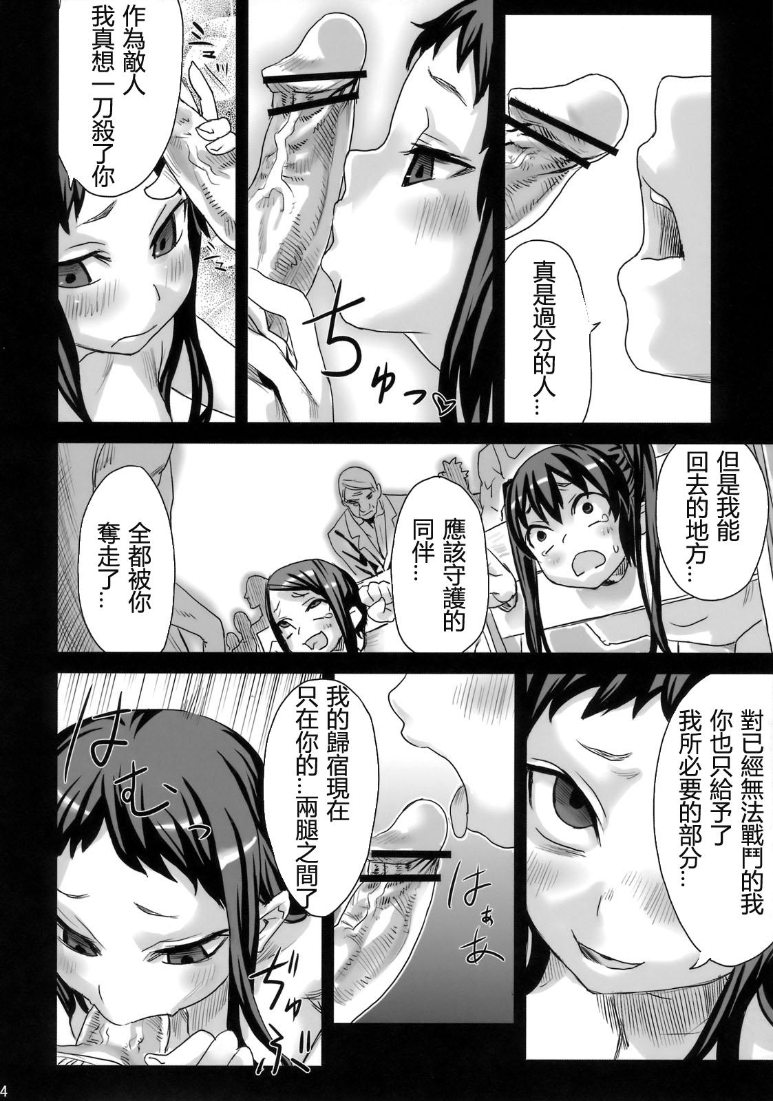 (C76) [Fatalpulse (朝凪)] Victim Girls 7 弱肉狂食 dog-eat-bitch (ファンタジーアースゼロ) [中国翻訳]  (43页)